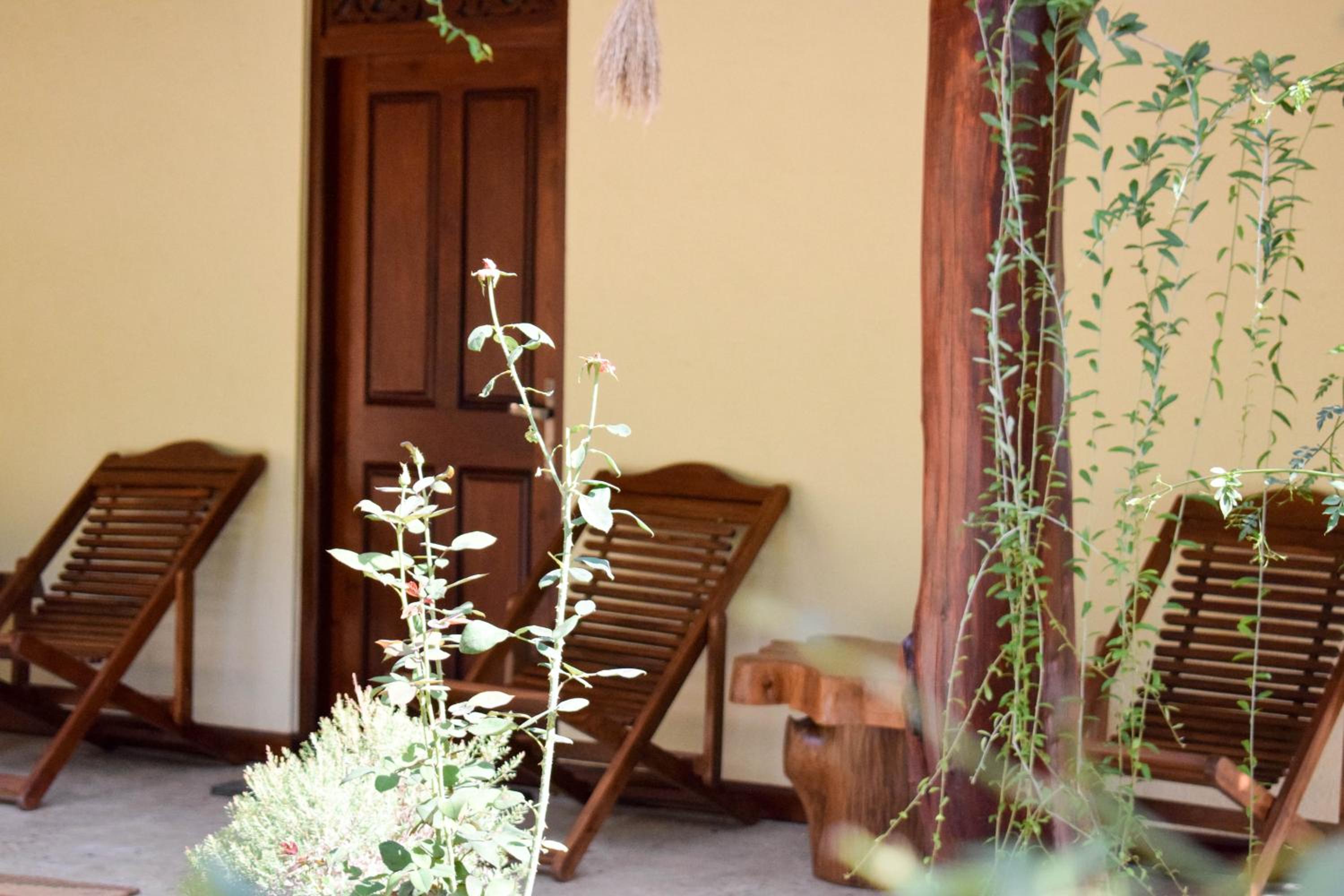 The Wisdom Home