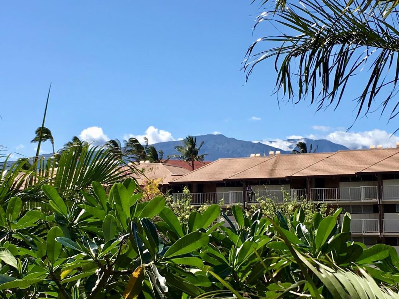 Hotel Perfect for families and couples - Maui Sunset A-203 - Image 1