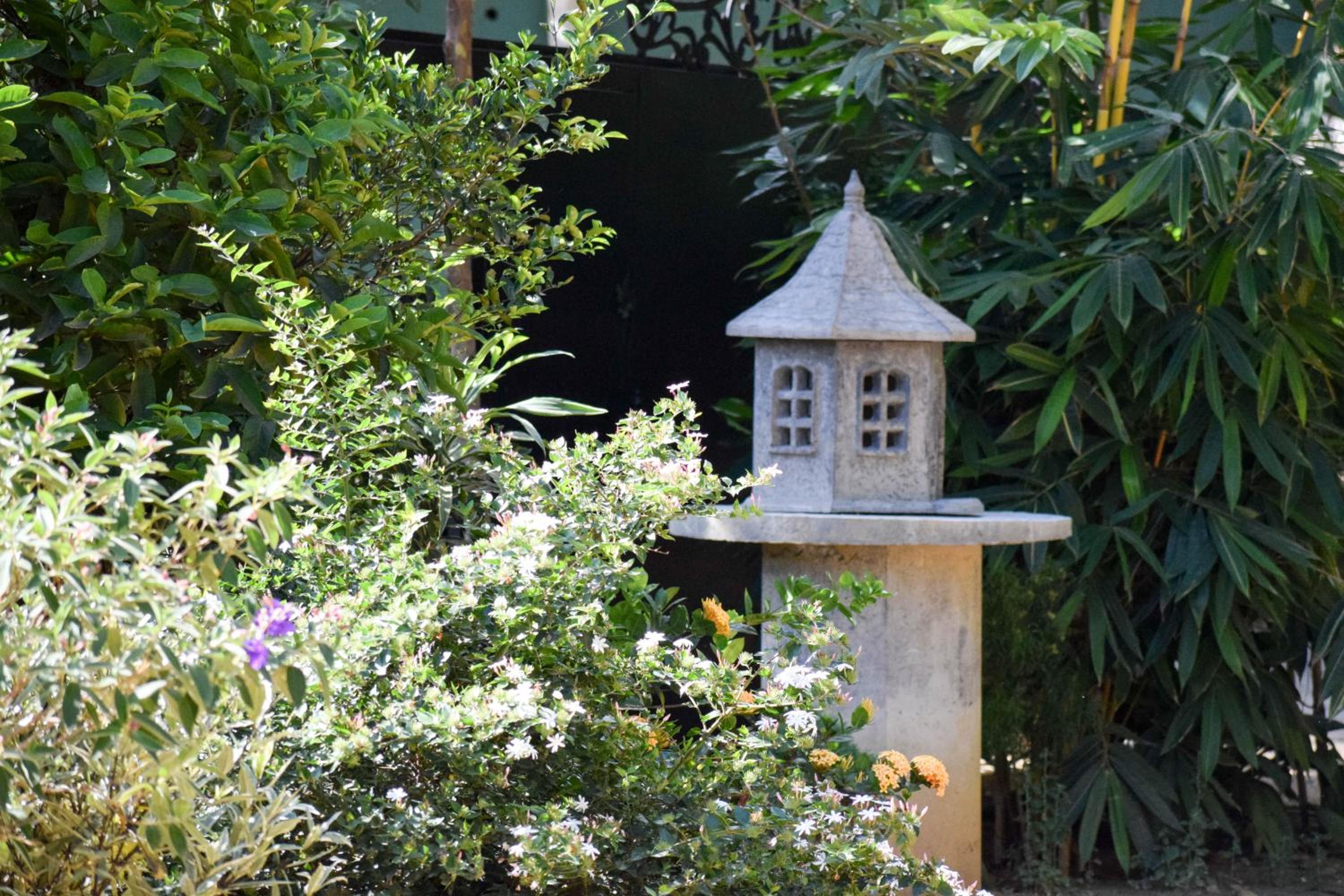 The Wisdom Home