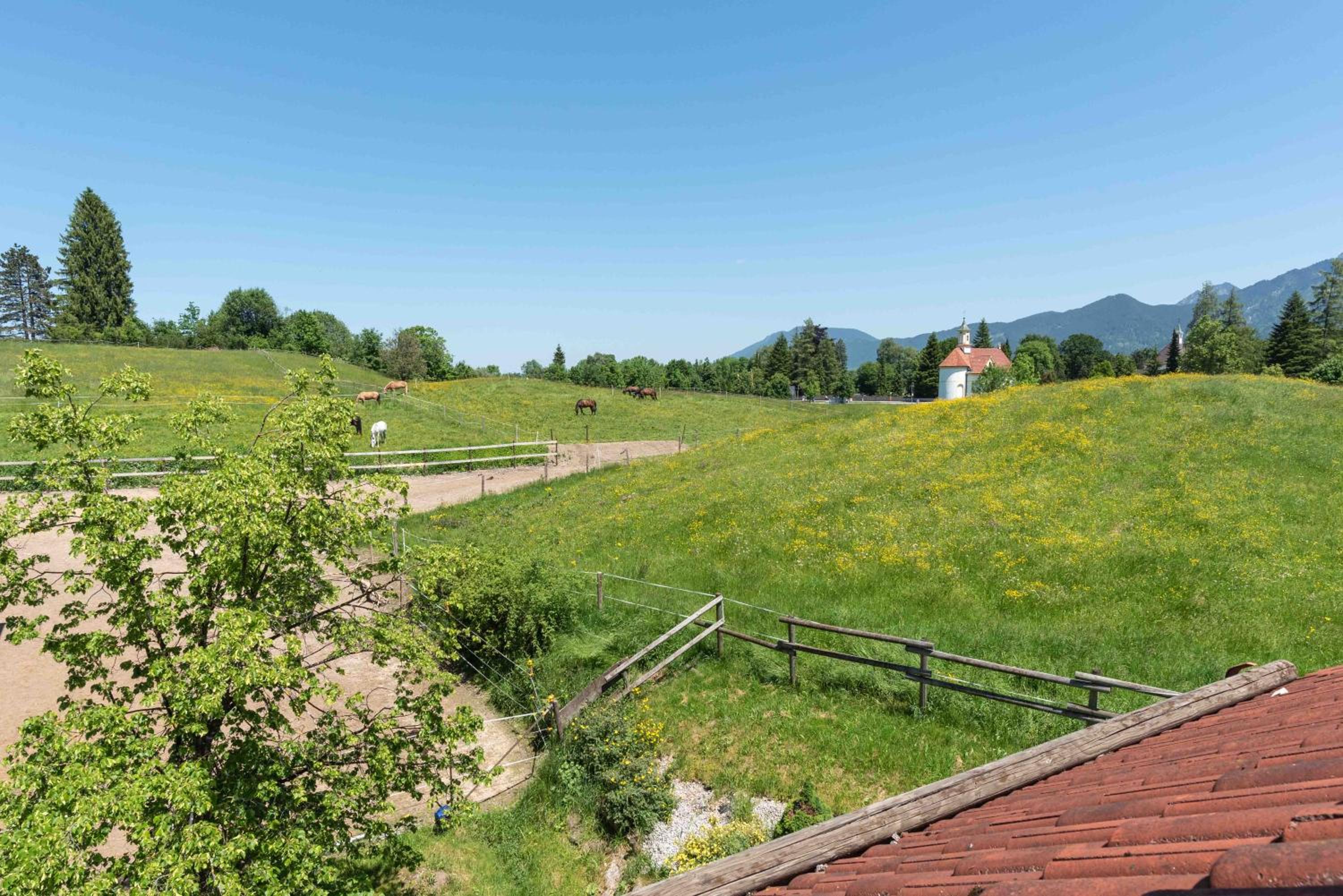Ferienhof AllgäuMax