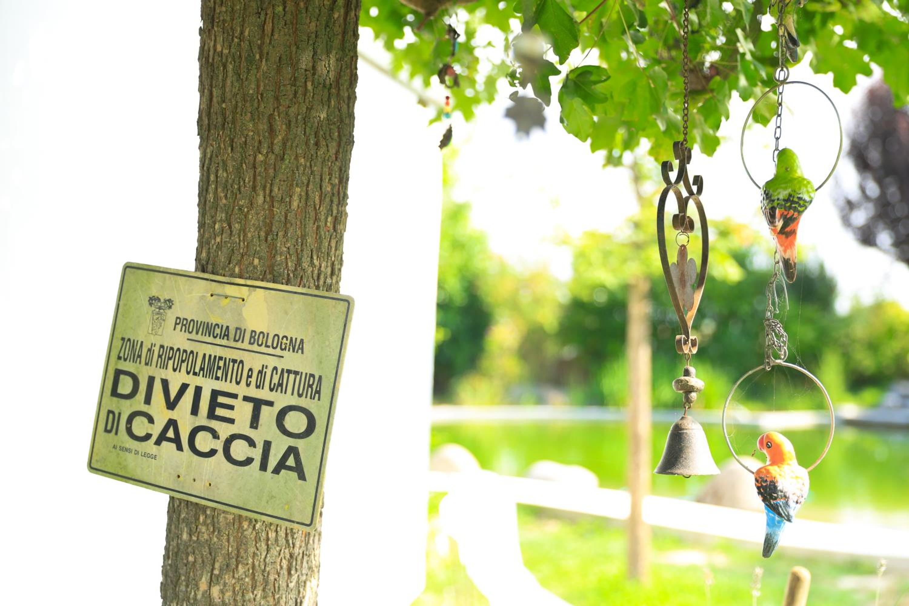 B&B Torricella view 4