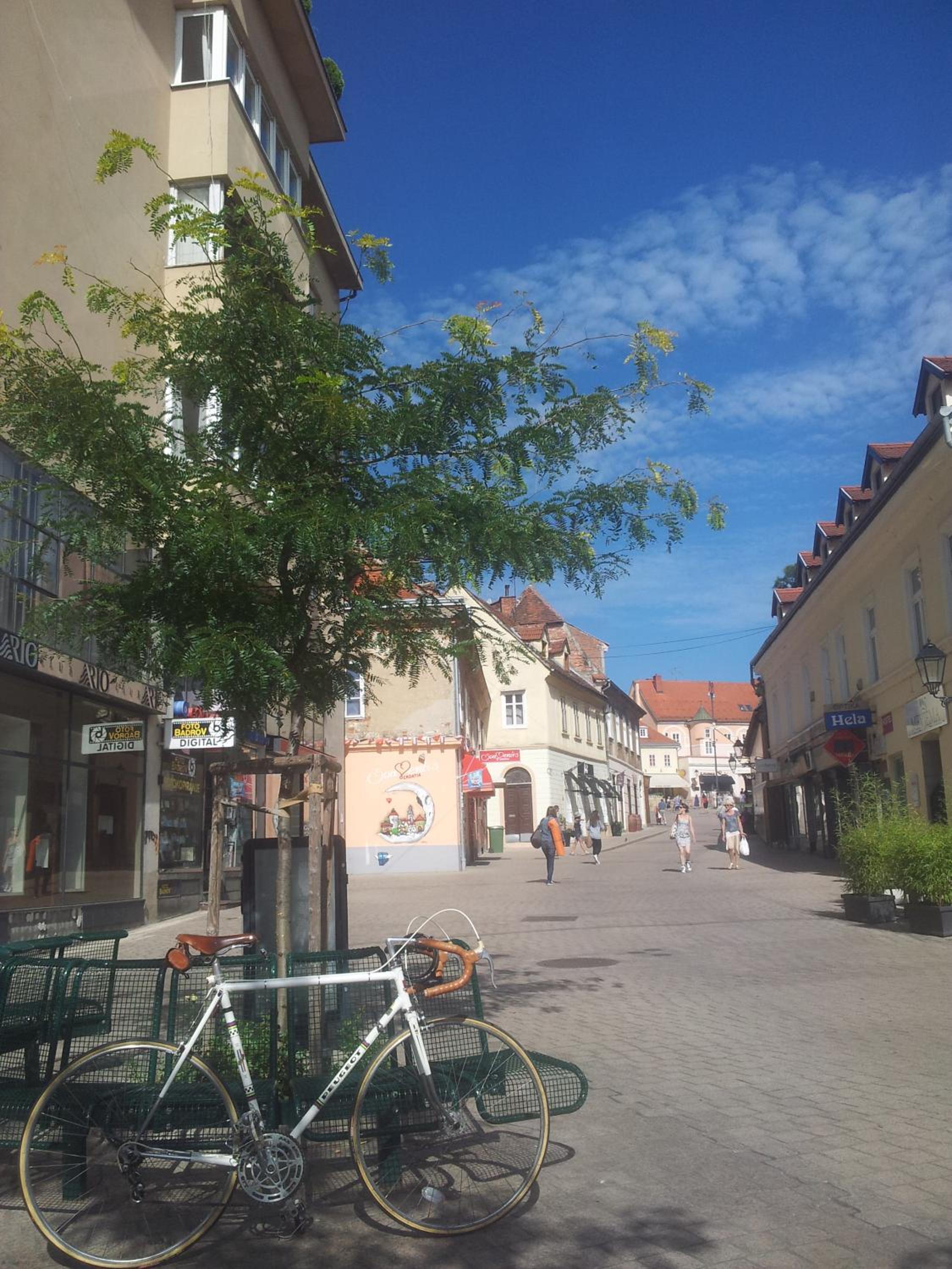 Photo 46