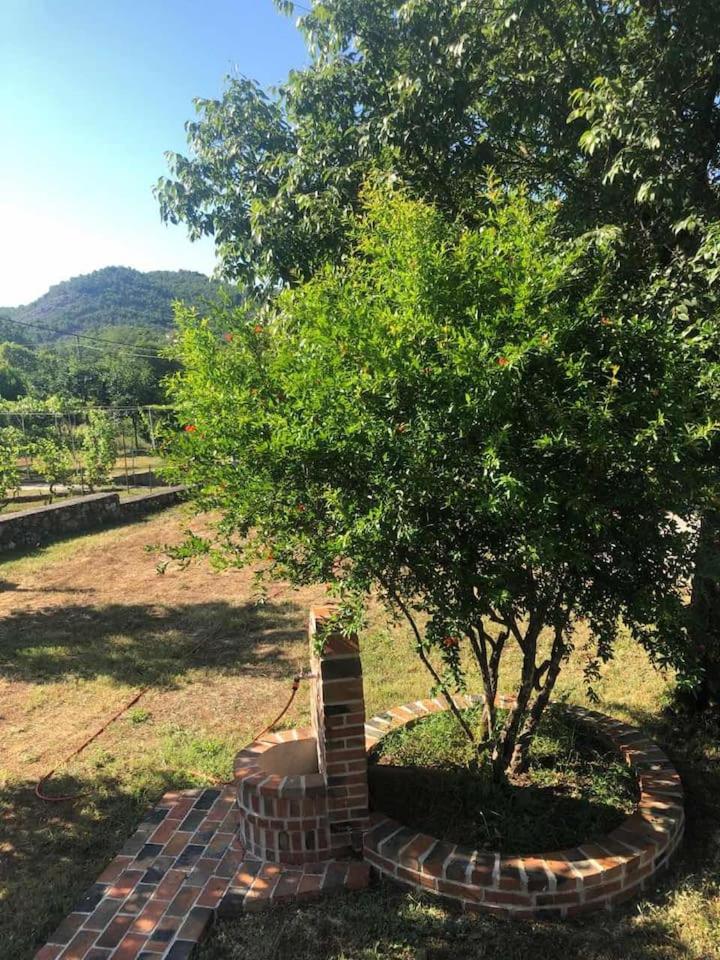 Photo 41