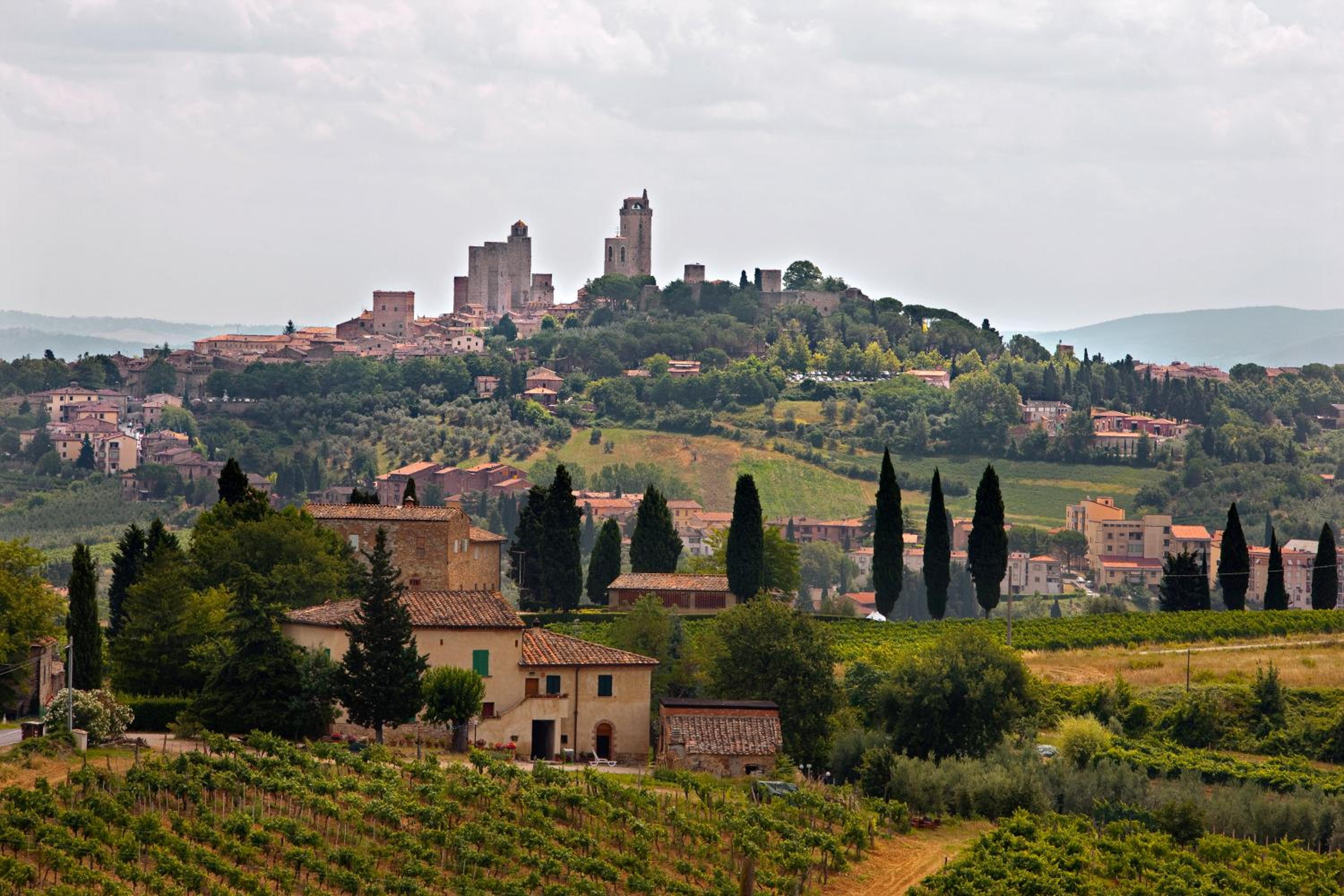 Tenuta delle Rose