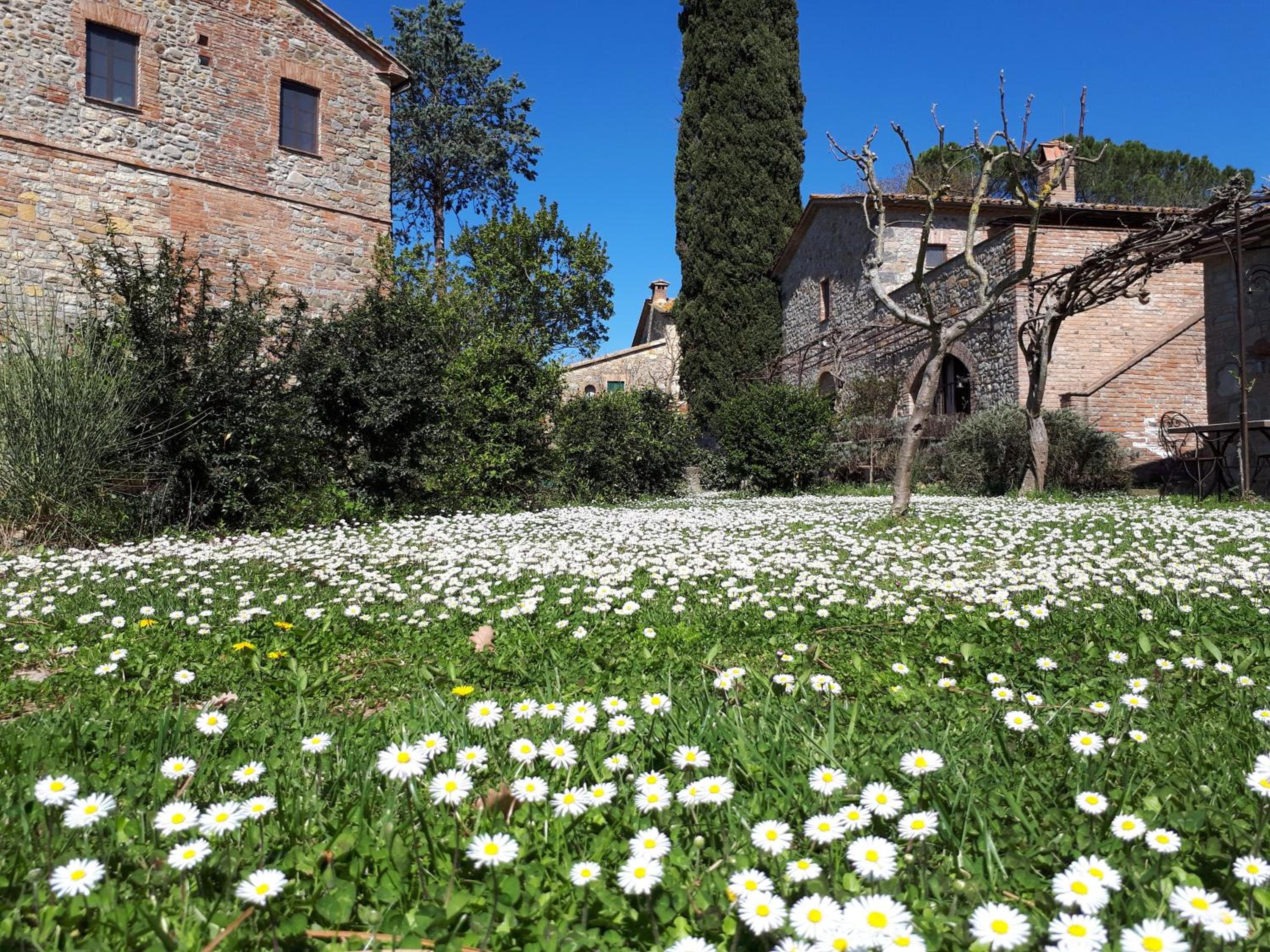 Agriturismo Borgo Santa Maria