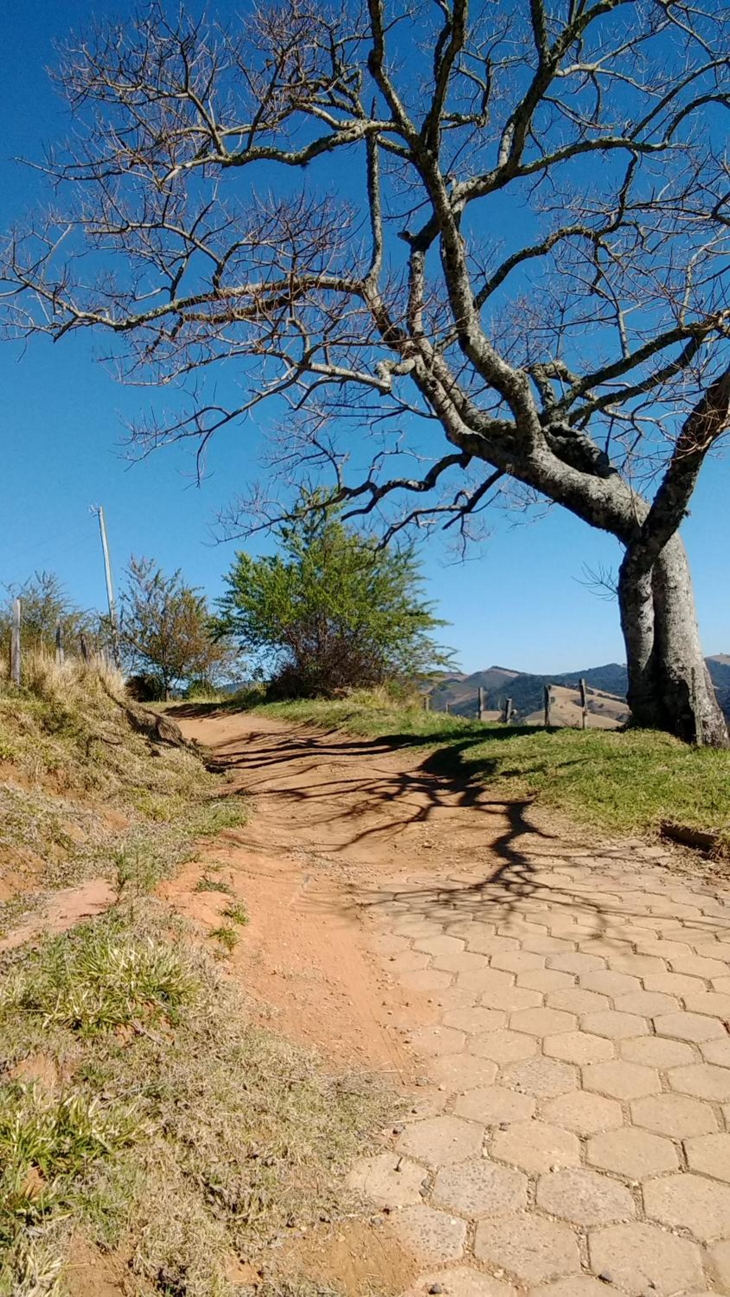 CASA NA MONTANHA