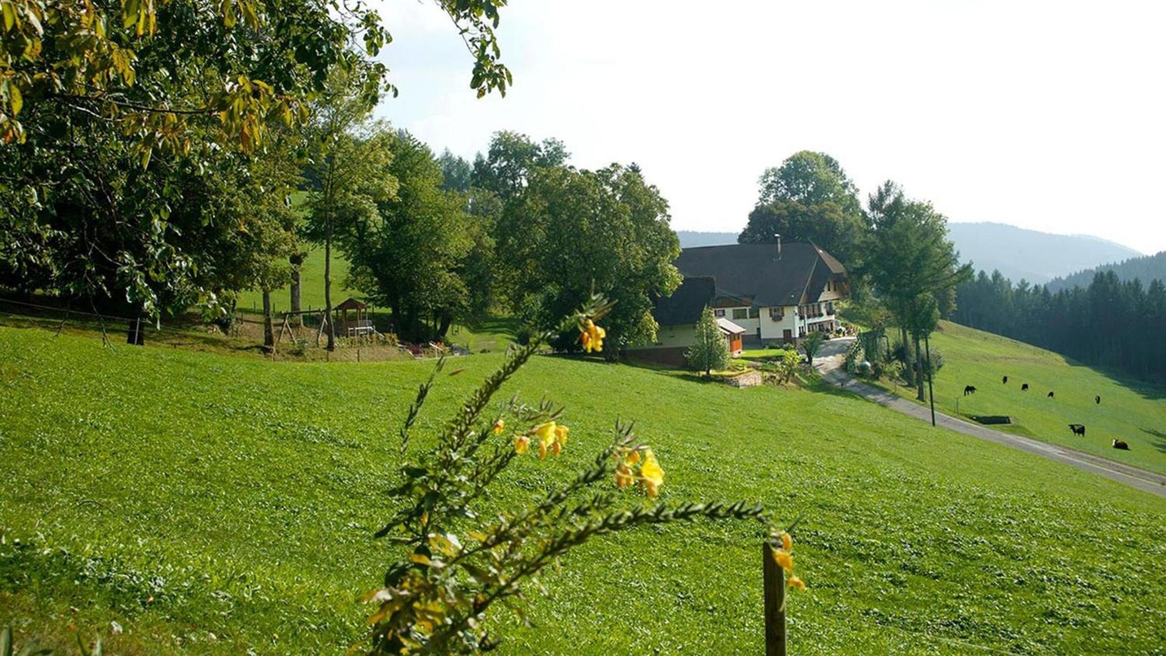 Hanselehof