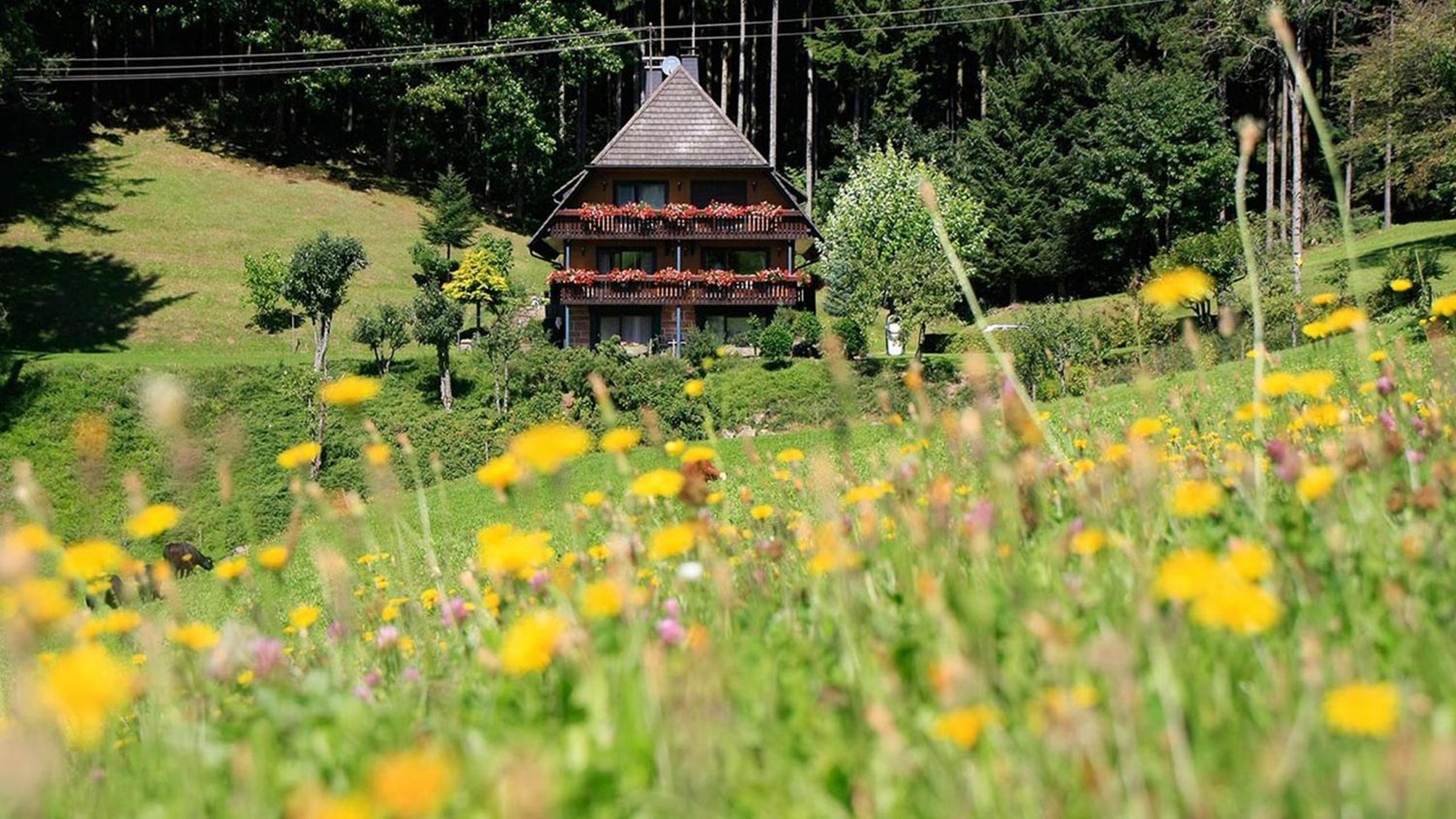 Hanselehof