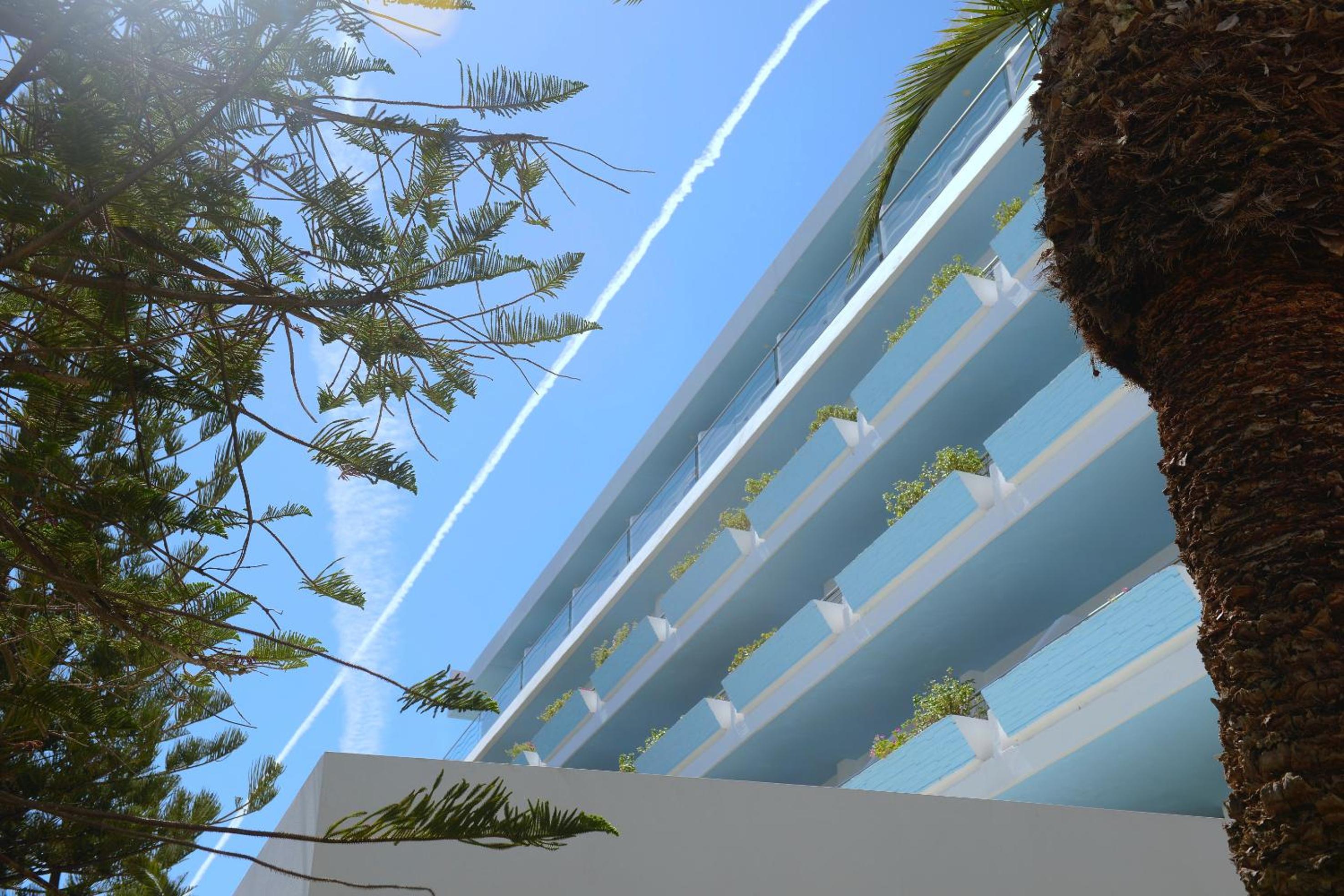 Blue Horizon