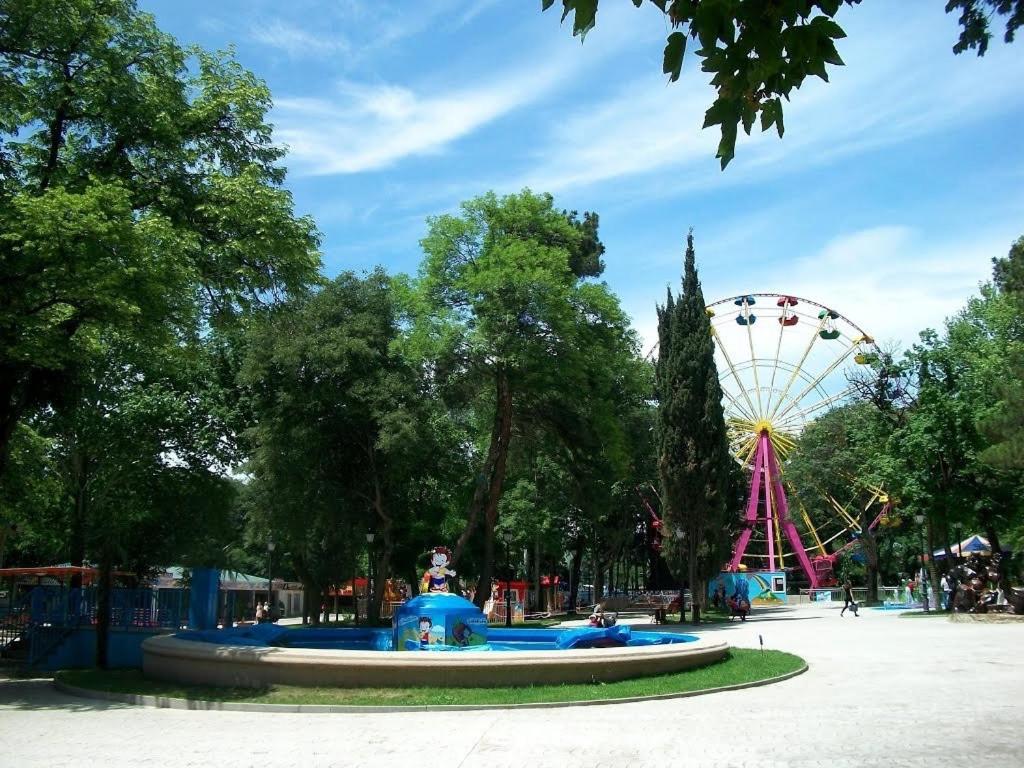 Photo 8
