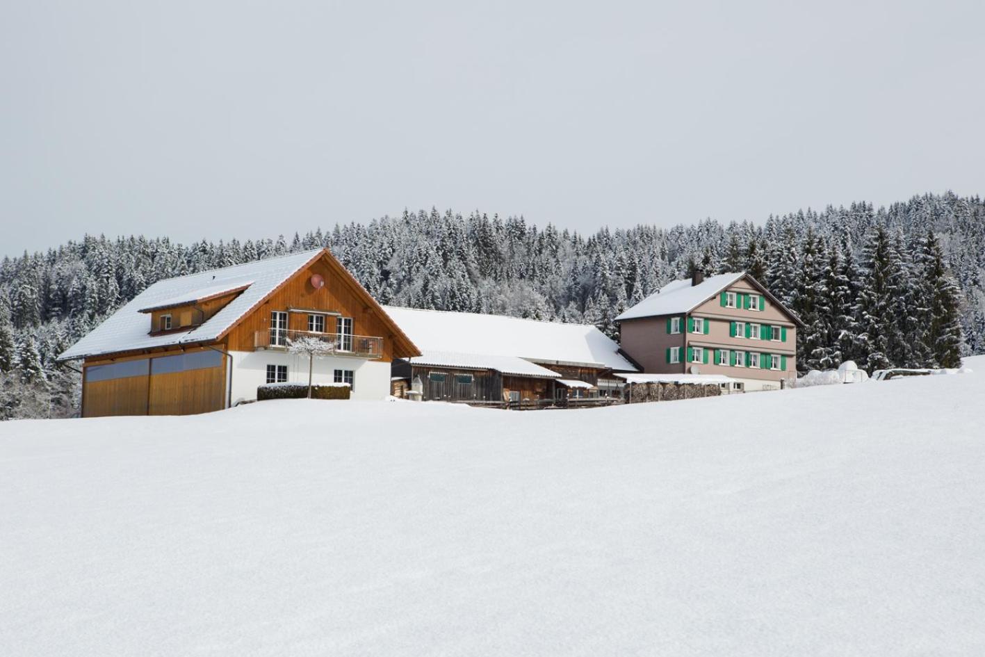 B&B Ferienhof am See