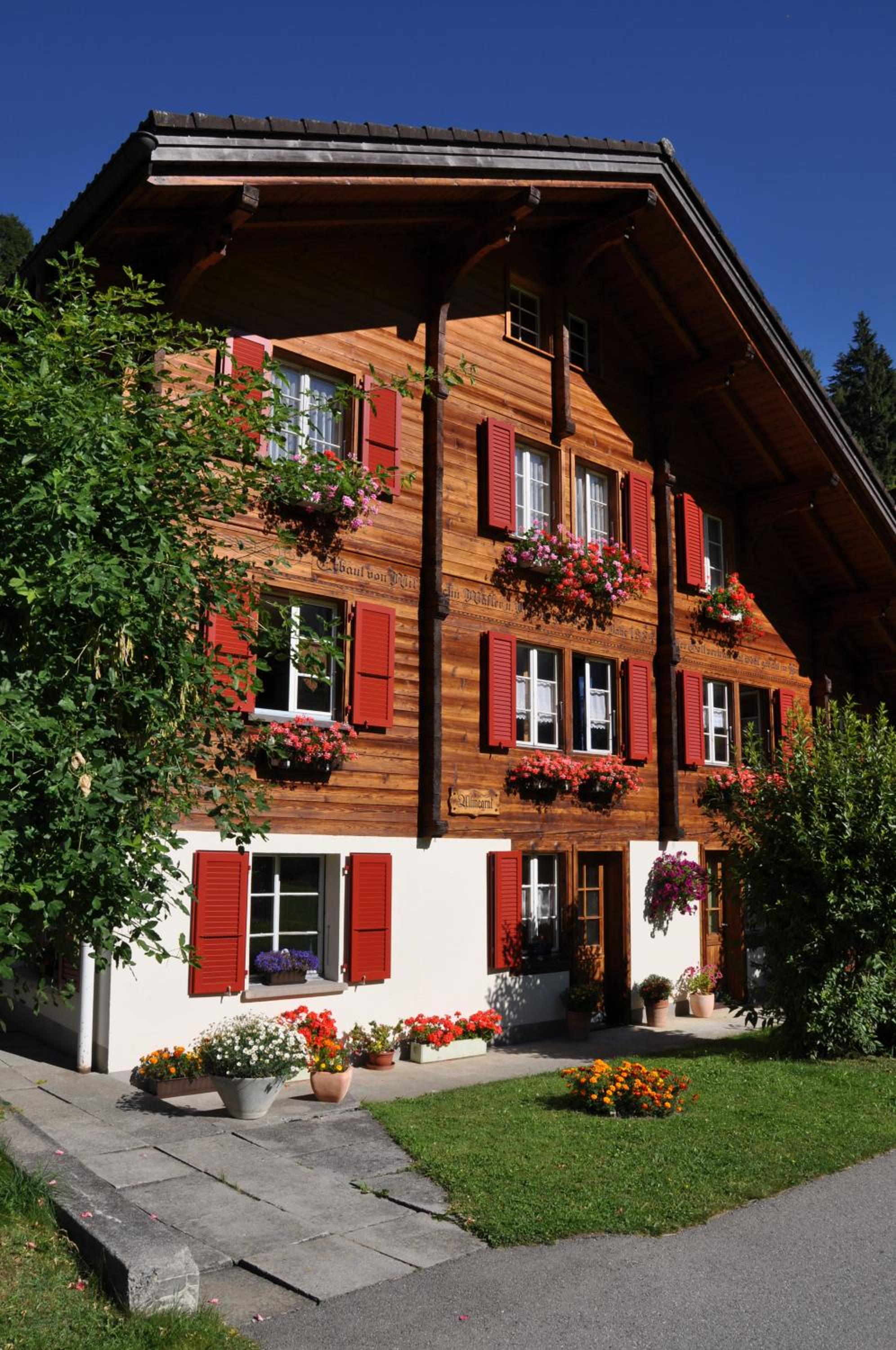 Chalet Allmegrat view 4