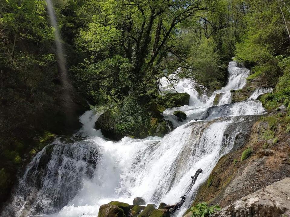 Сибиряк Sibiryak view 2