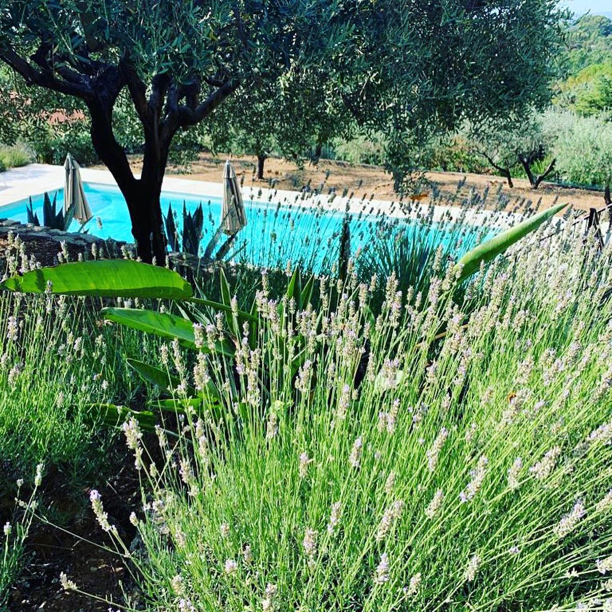Le Clos en Provence view 4