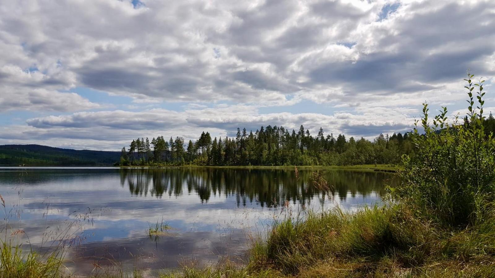 Photo 40