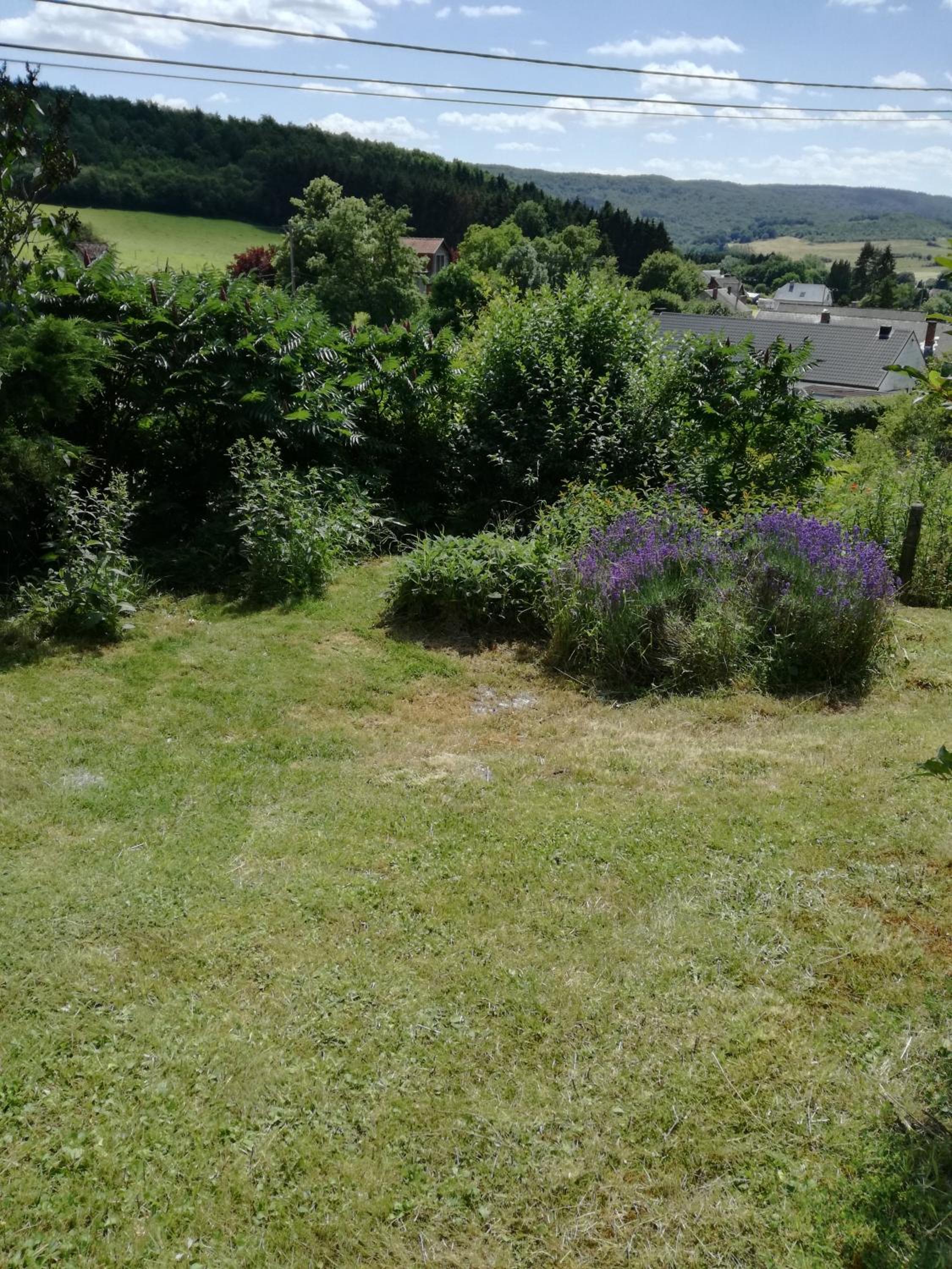 Les Tiennes