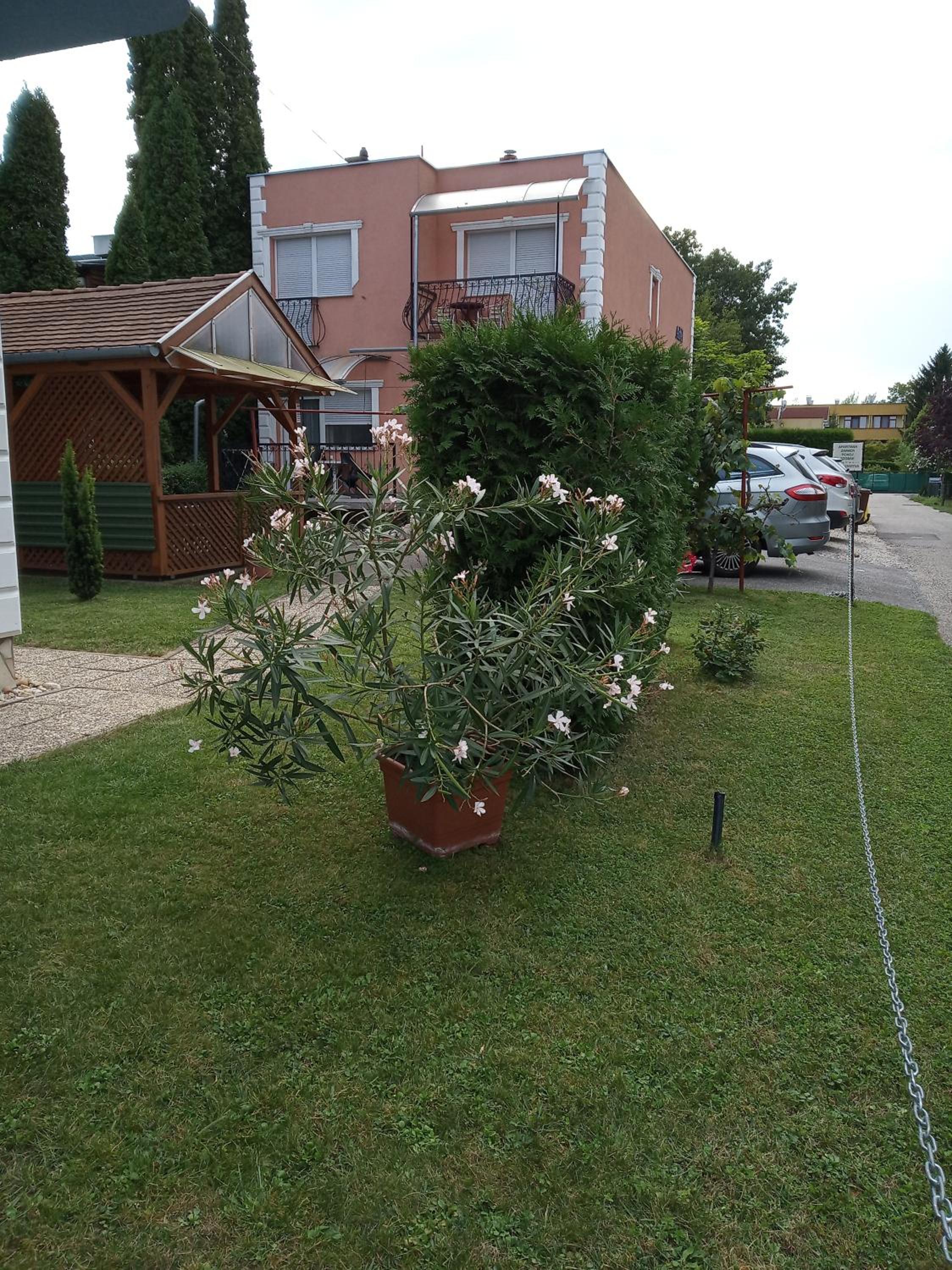 Photo 37