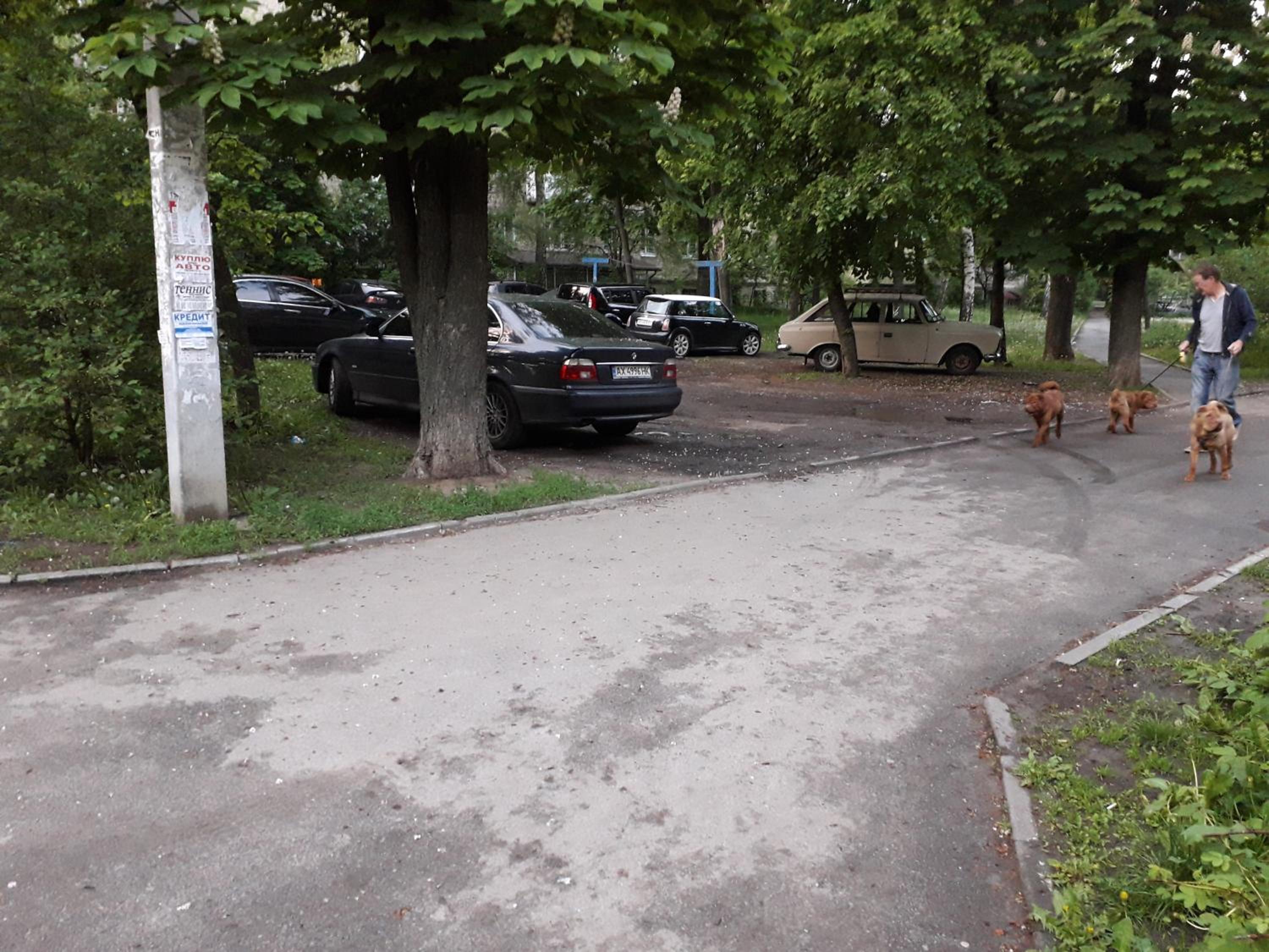 Photo 48