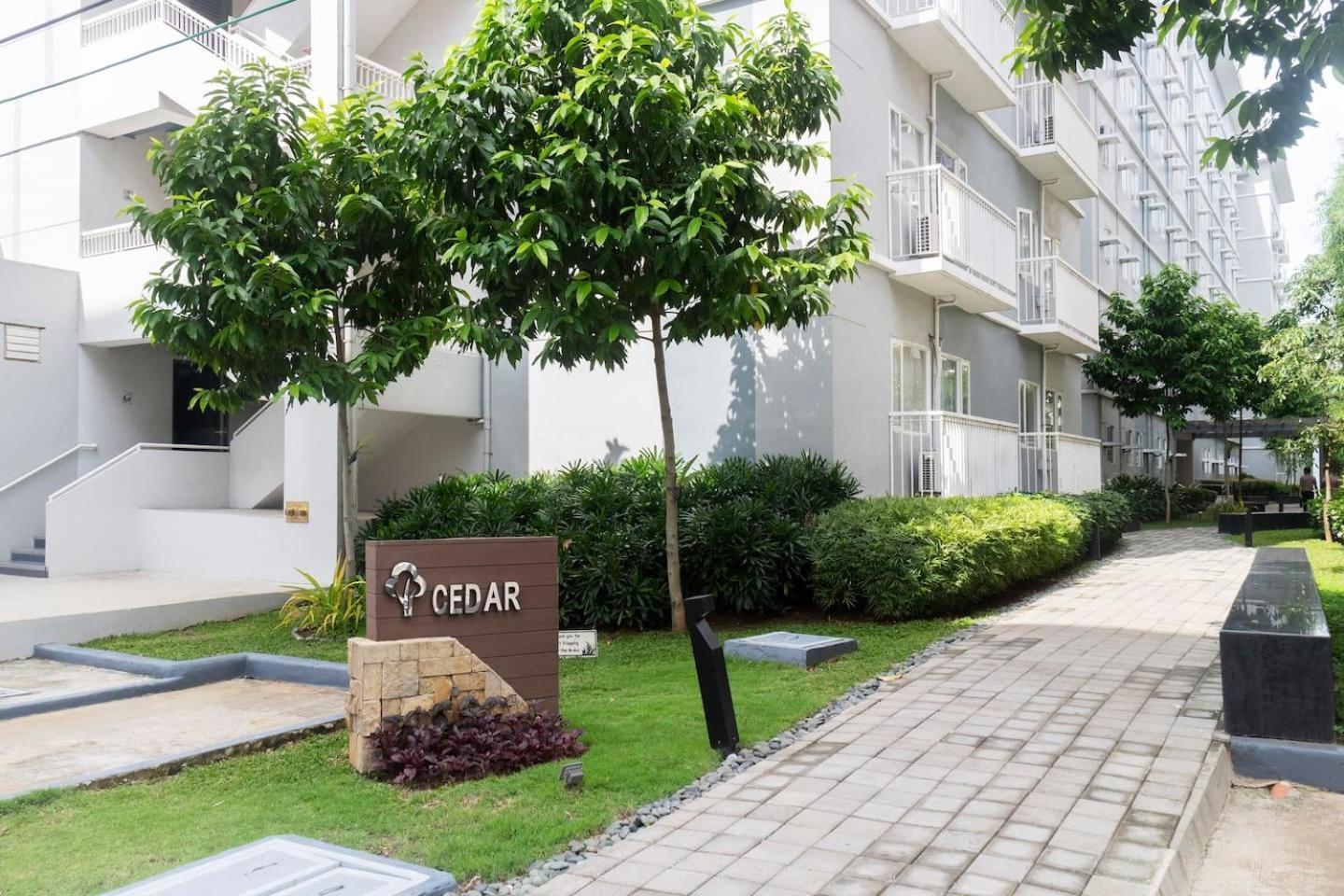 Trees Residences SMDC by Jhoms view 3