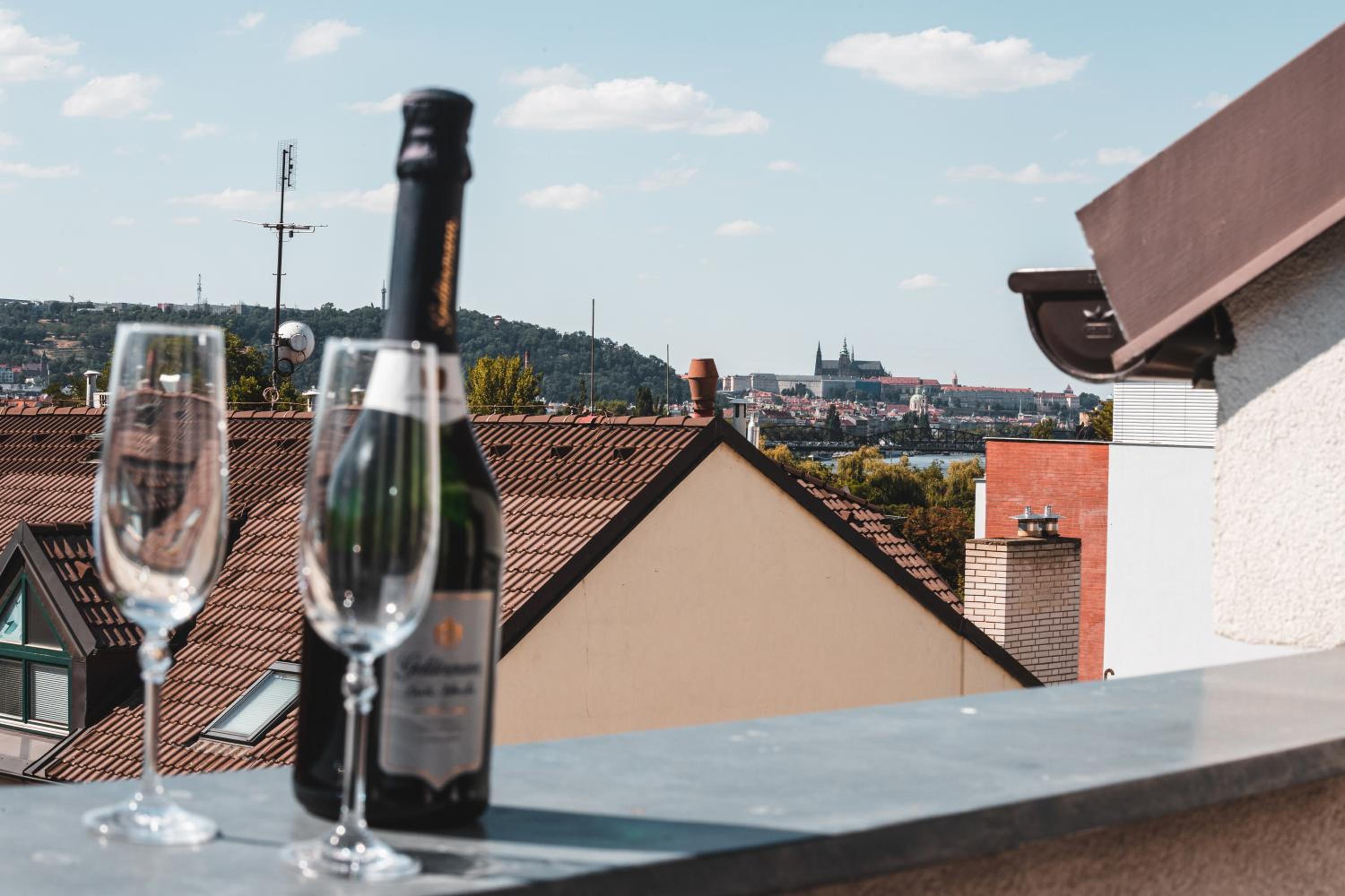 POINT flat, beautiful view from terrace to Prague Castle