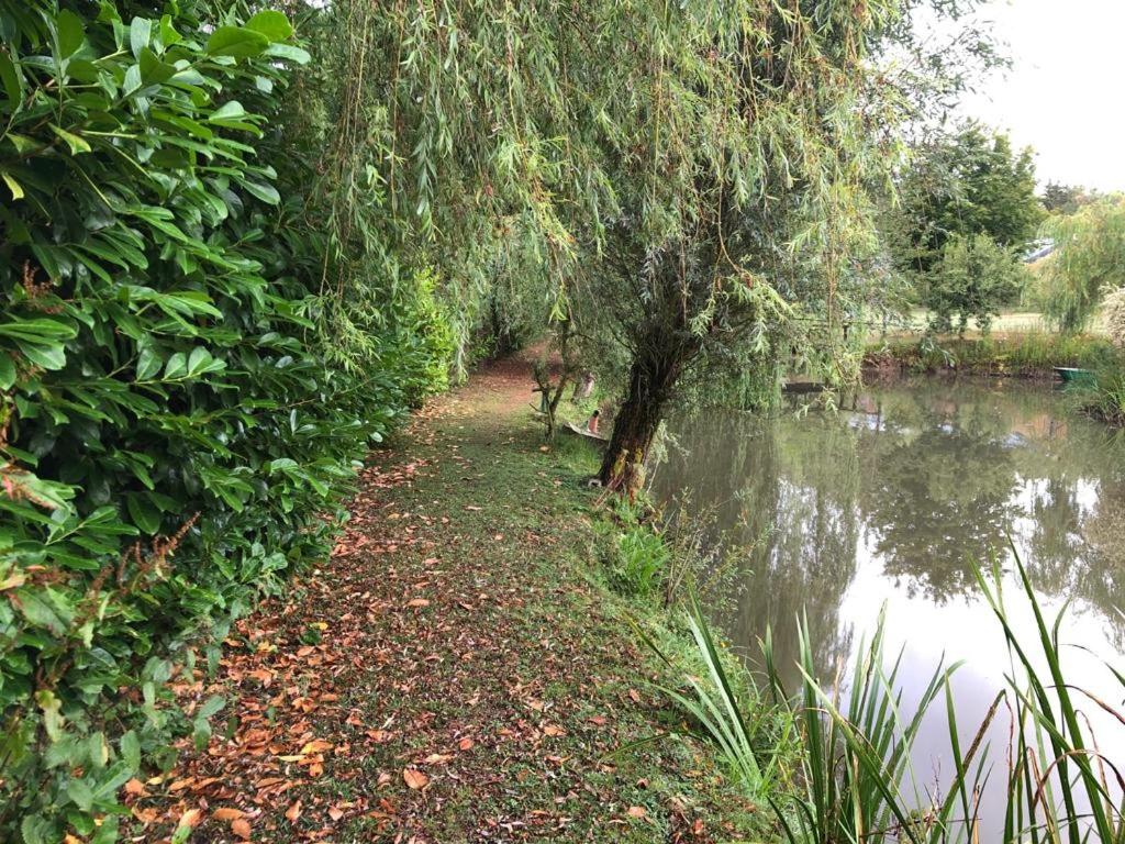 Florennes Gîte neuf 150 M2 devant un grand lac privé de 2 hectares poissonneux au milieu des bois