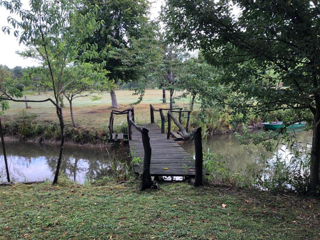 Florennes Gîte neuf 150 M2 devant un grand lac privé de 2 hectares poissonneux au milieu des bois