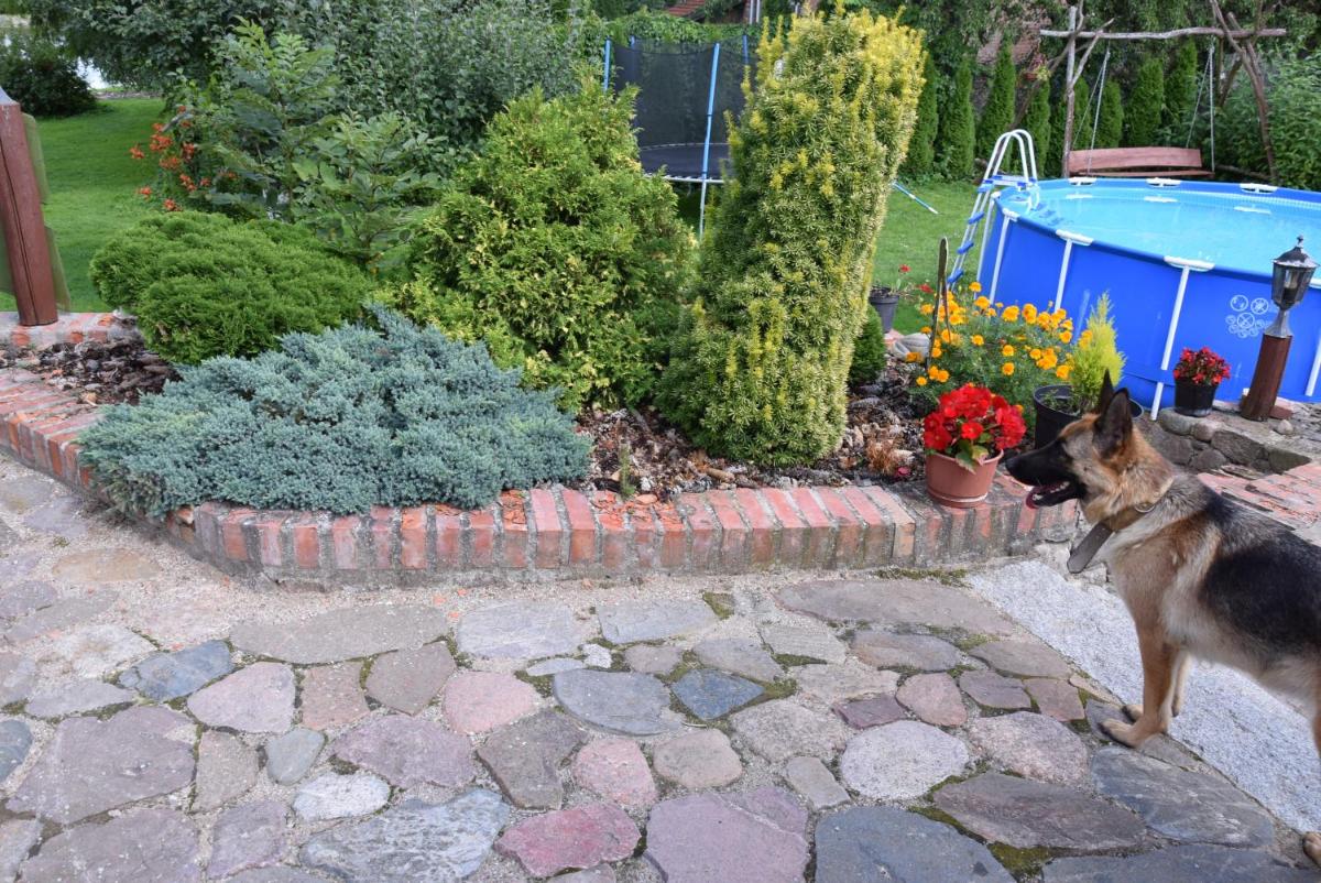 Photo 34