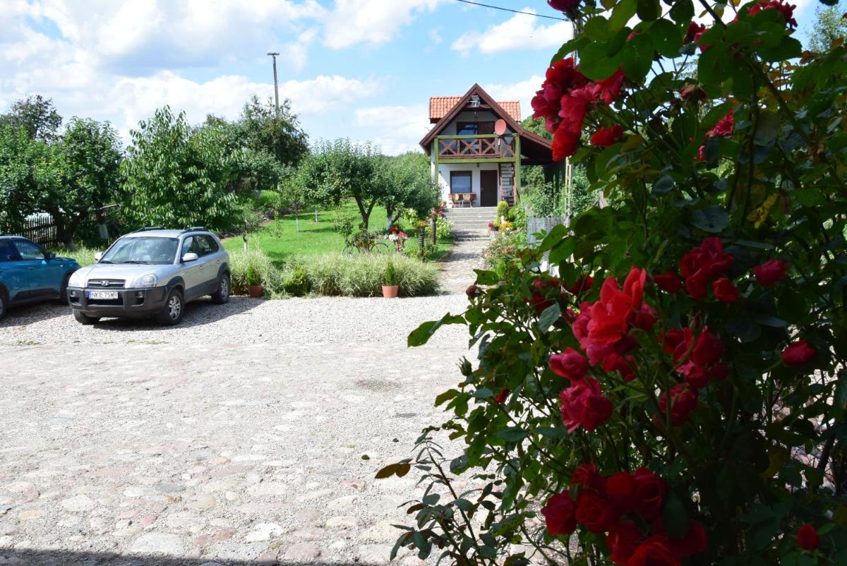 Photo 22