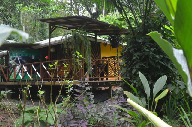 Pachamama Nueva River side Bungalows Punta Uva