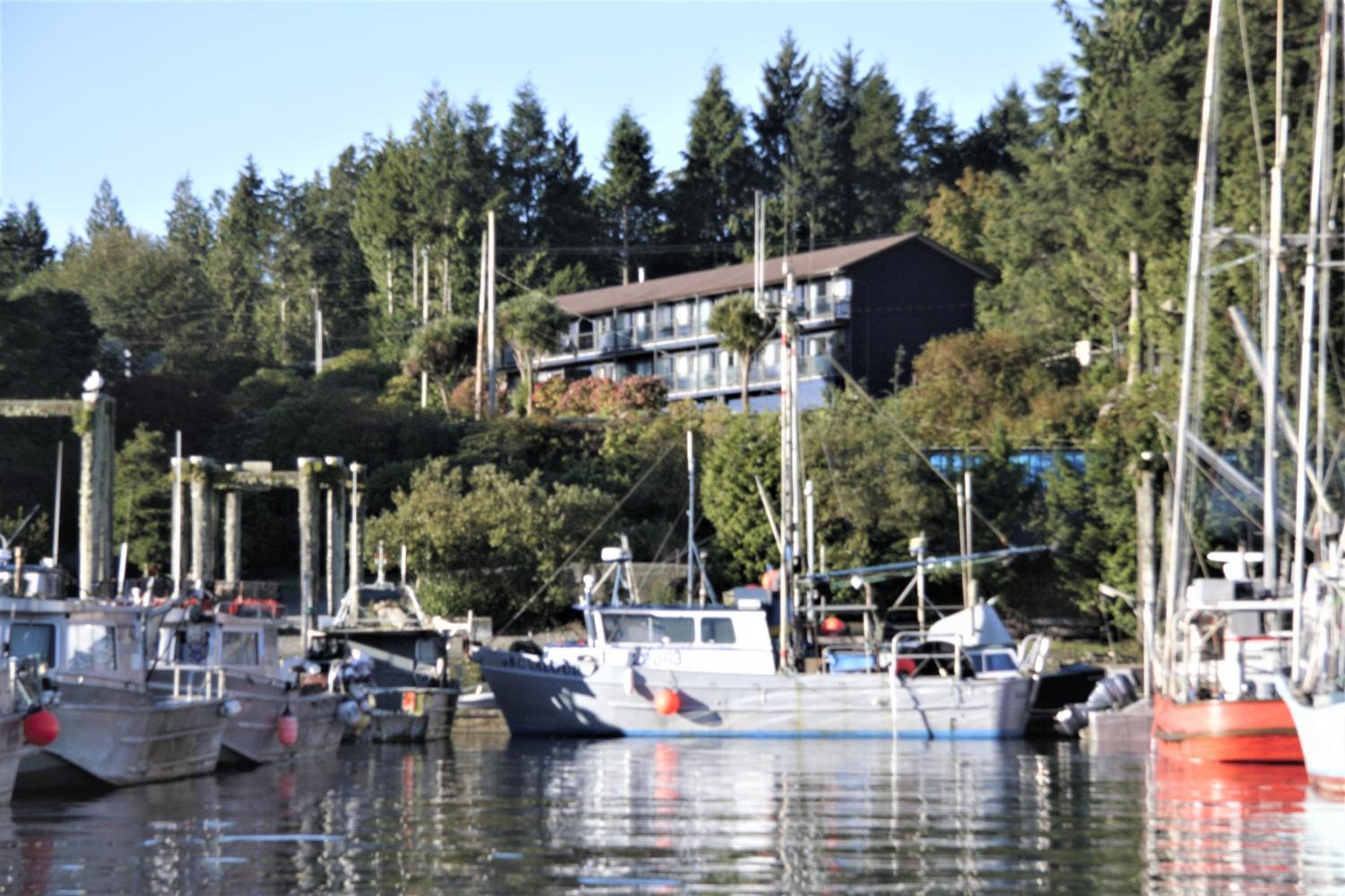 Tofino Motel Harborview-0