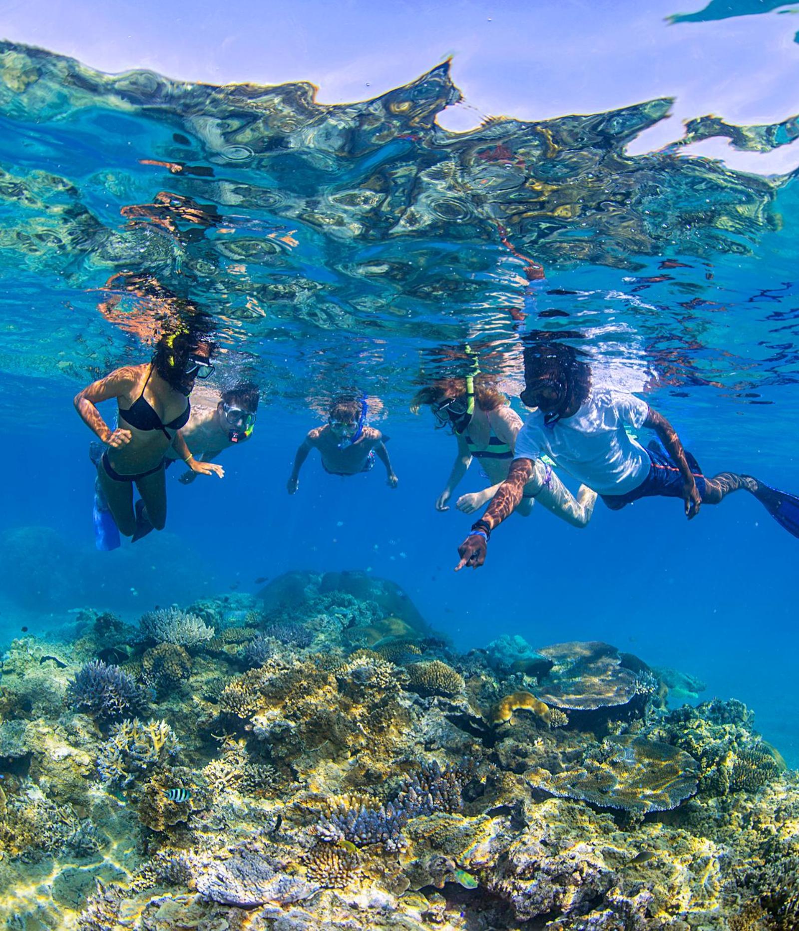 Barefoot Manta Island Resort