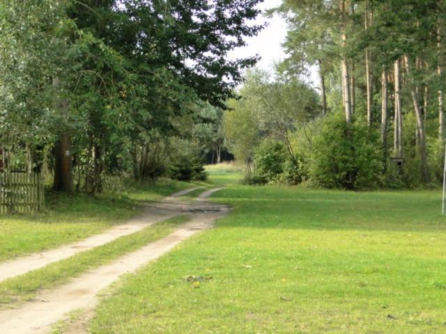 Photo 22