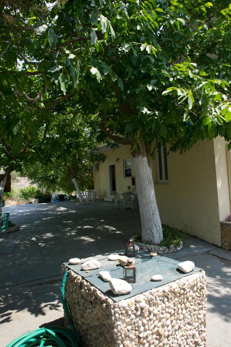 Photo 30