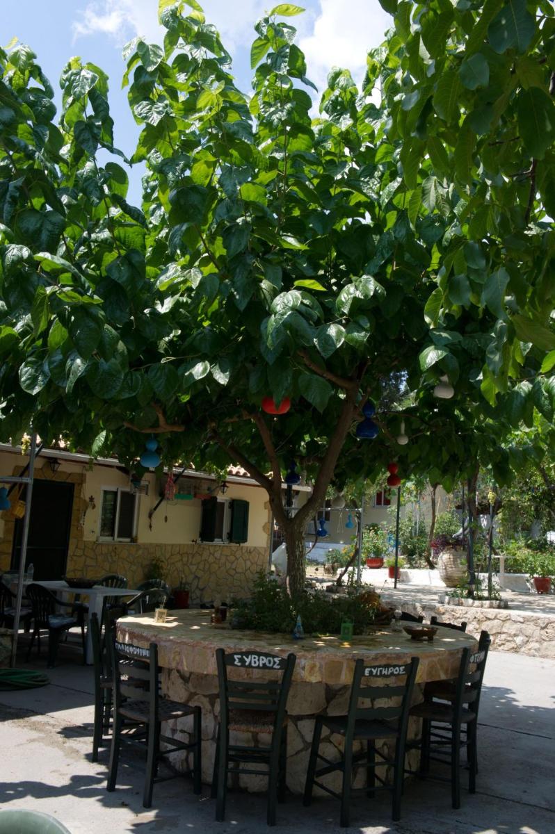 Photo 8