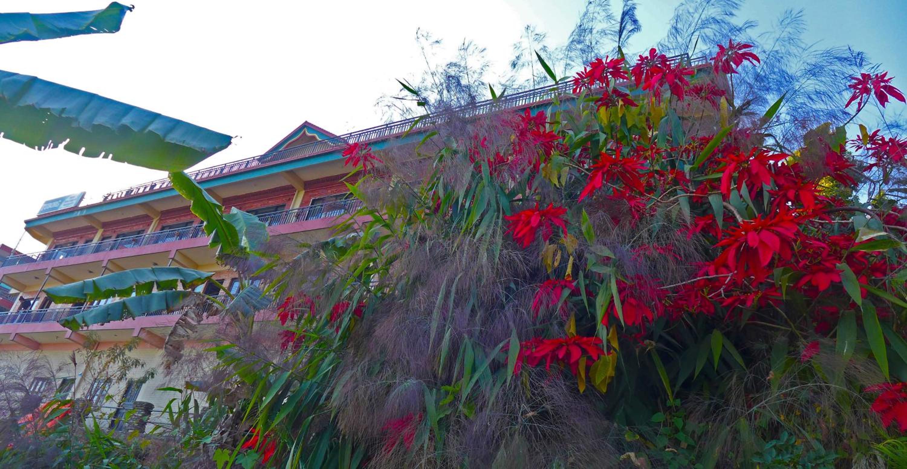 Superview Lodge - Family-Run, Himalayan Sunrise