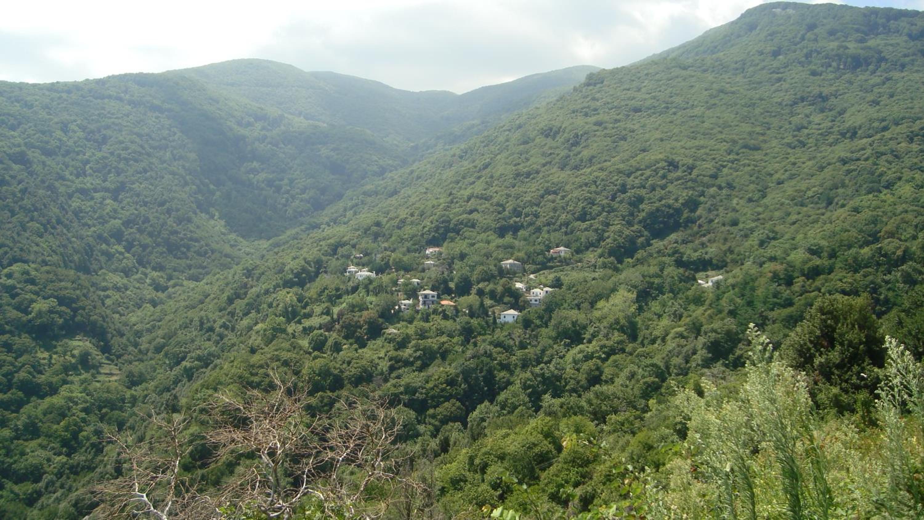 Photo 25