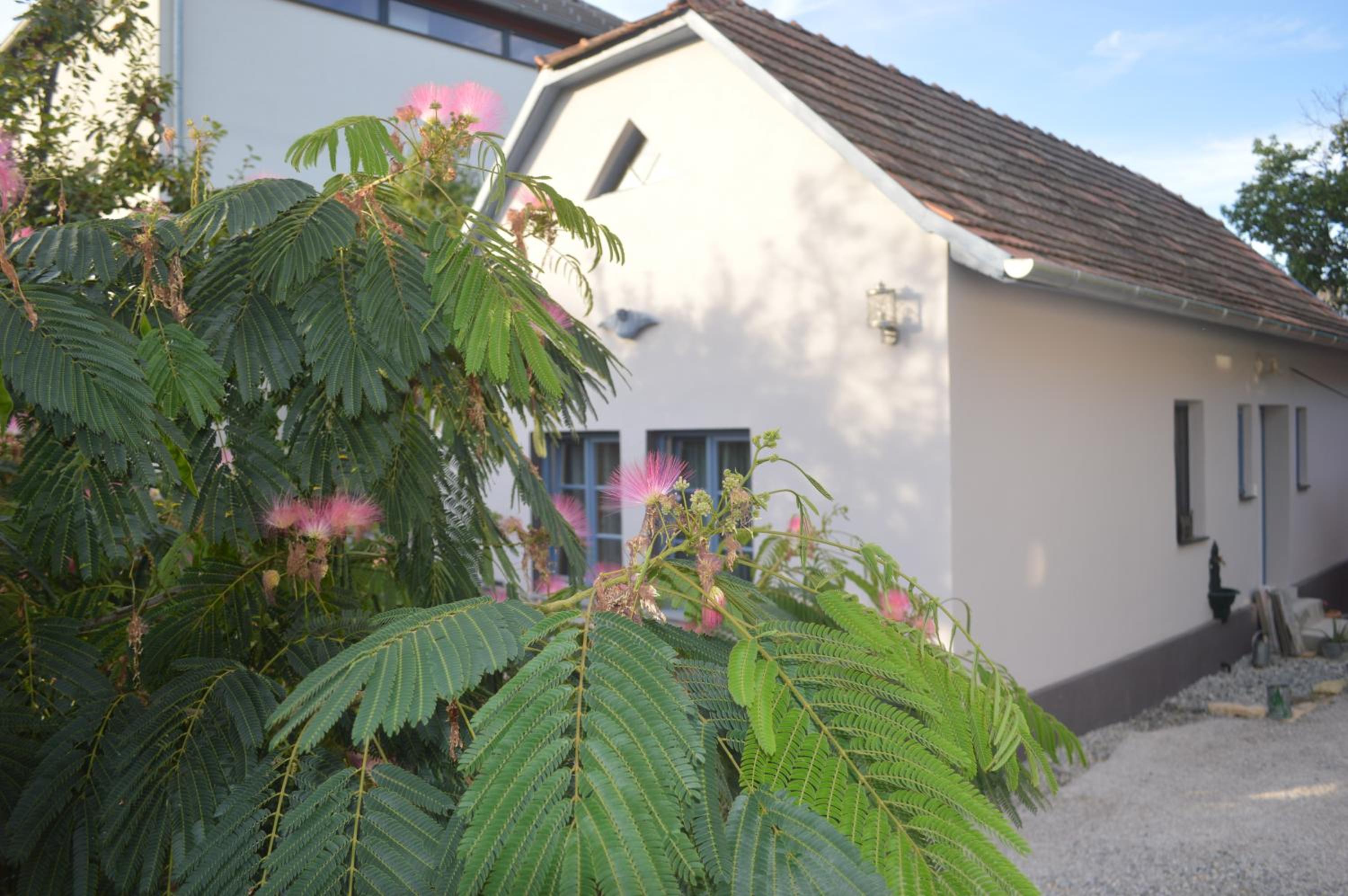 Das Nest