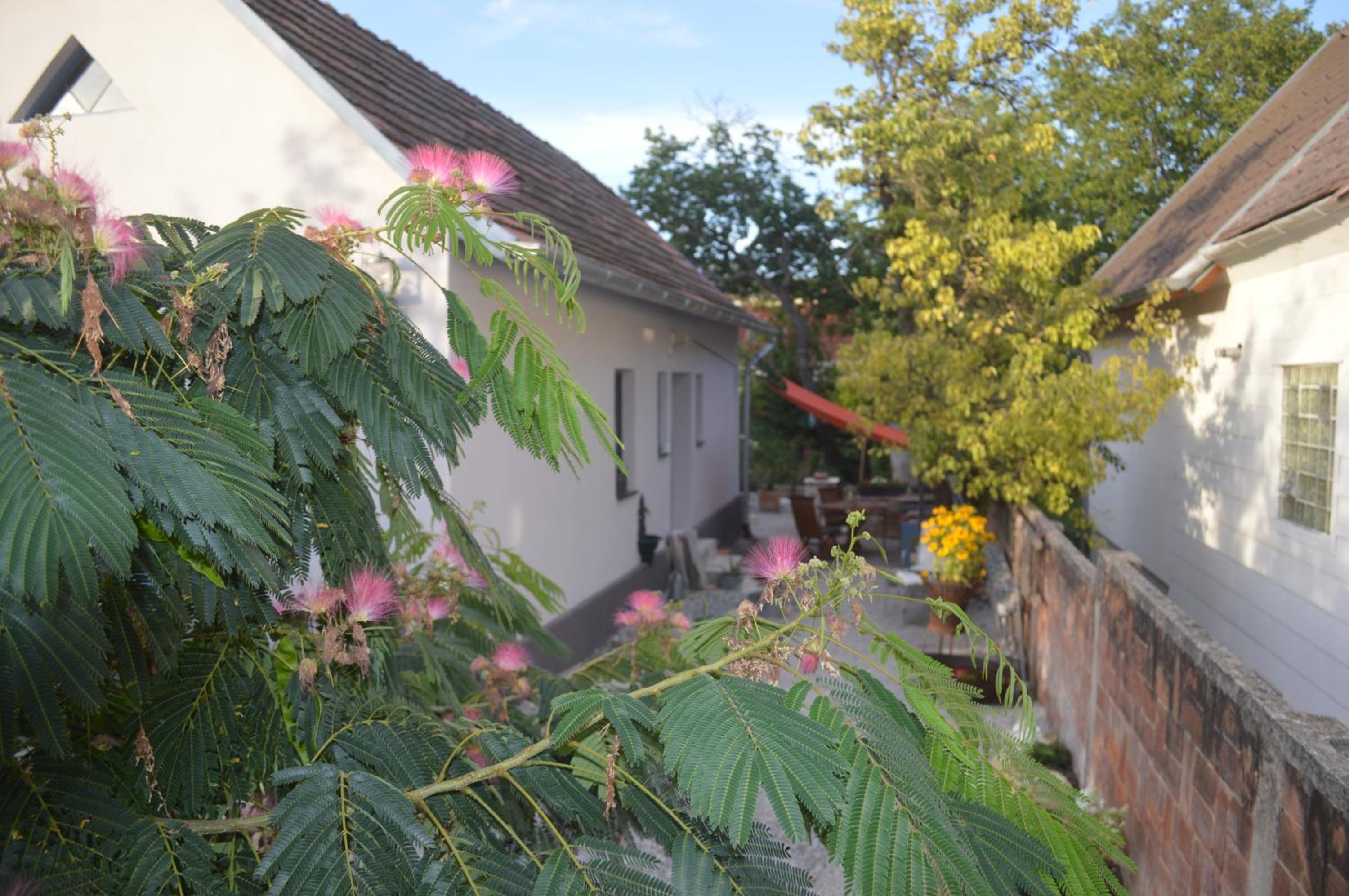 Das Nest