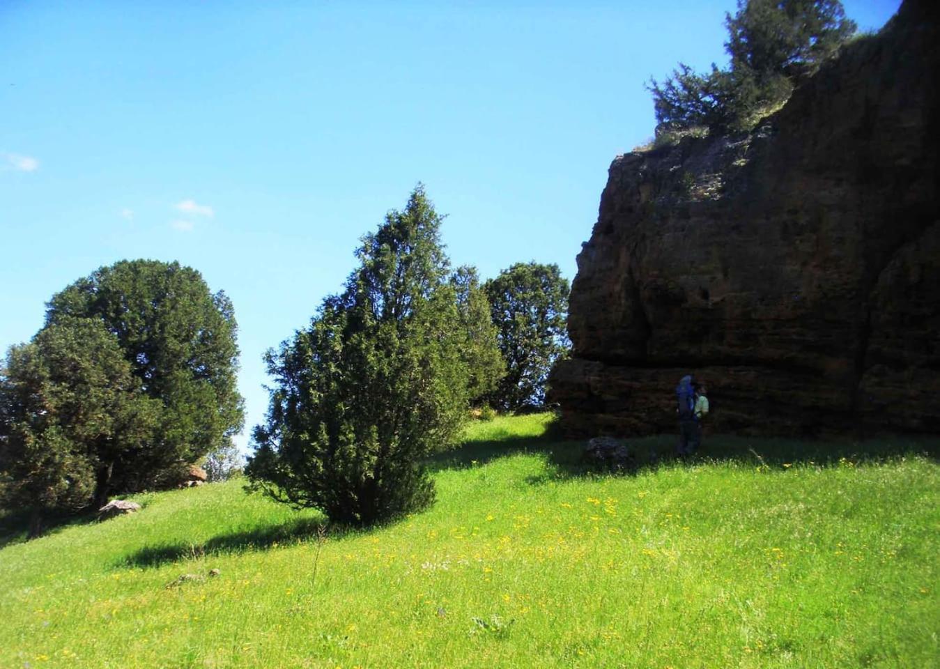 Photo 8