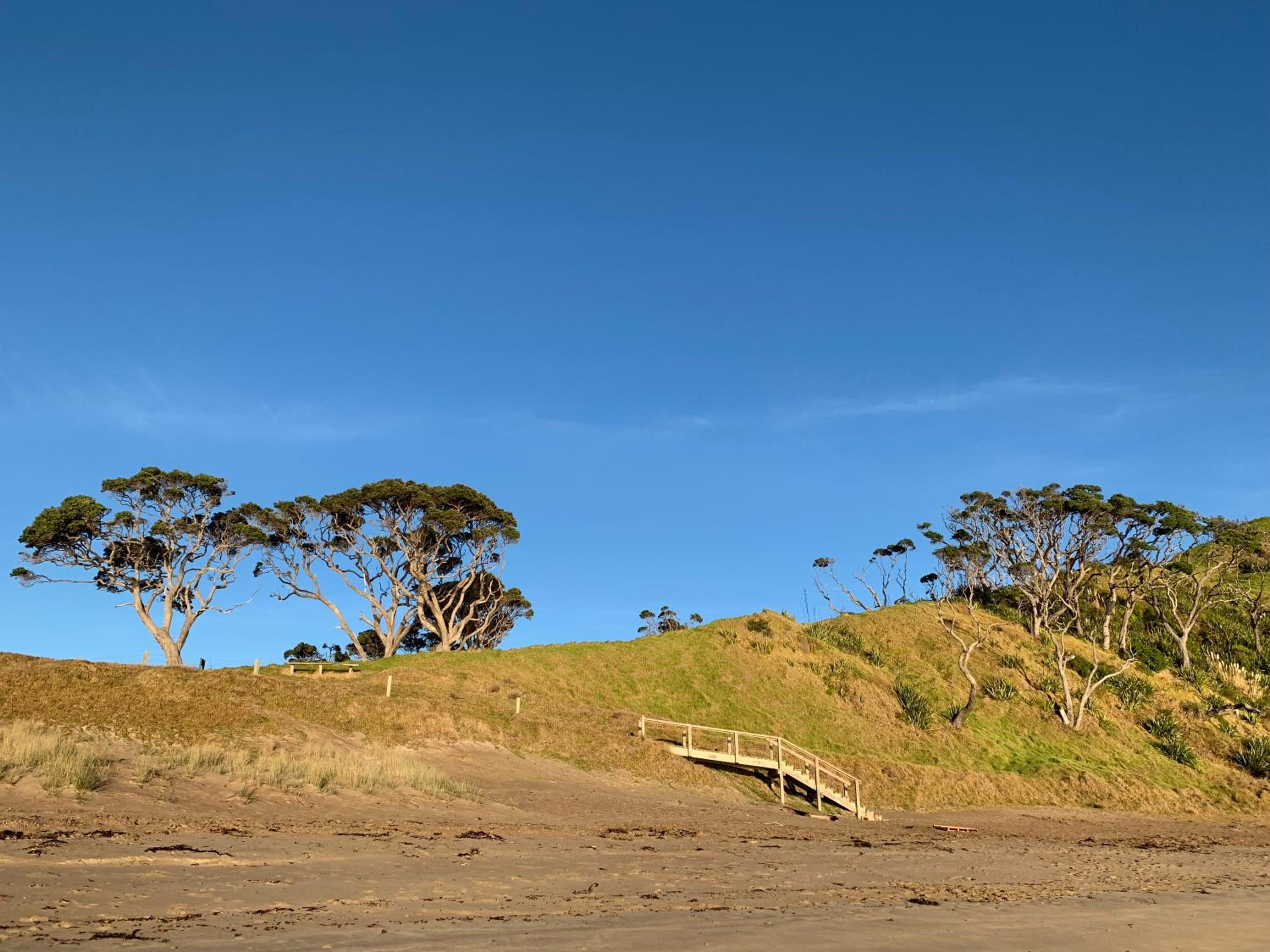 Mount and Surf View Cabin view 4