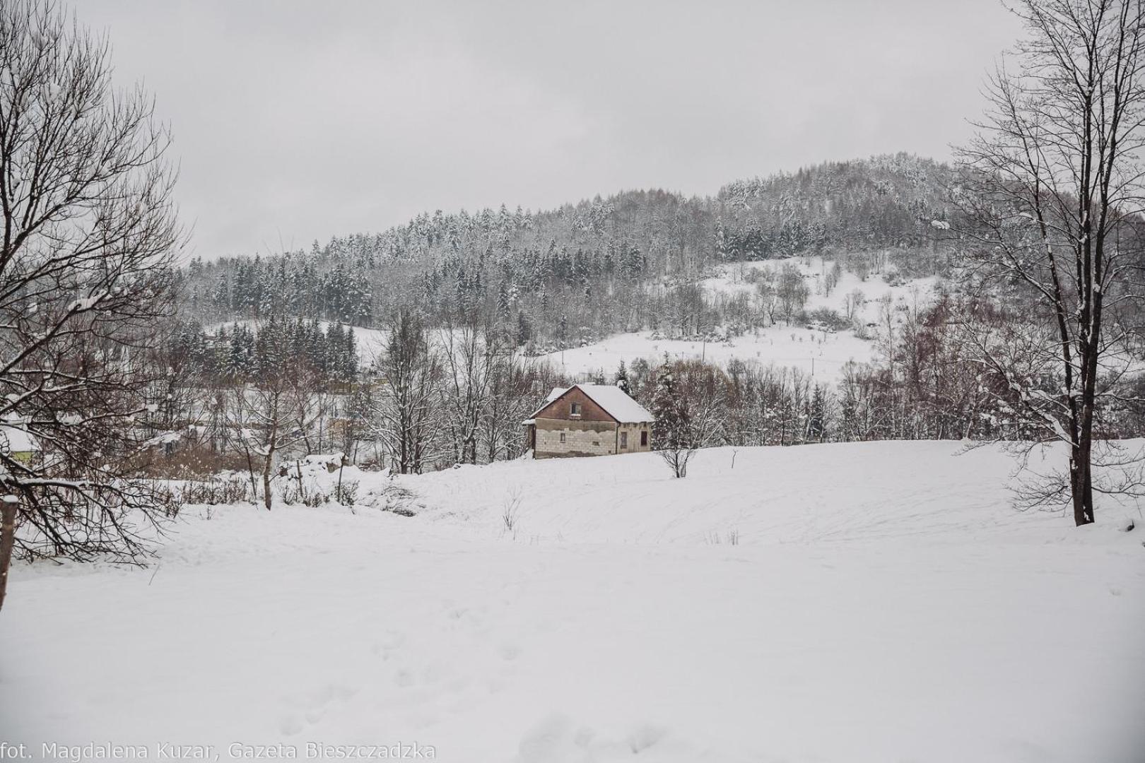 Dolina Rosy