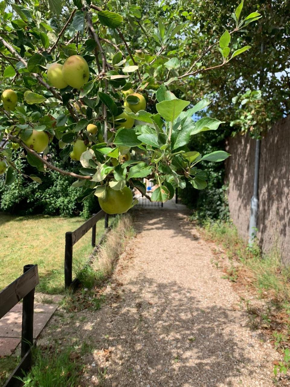 Photo 17