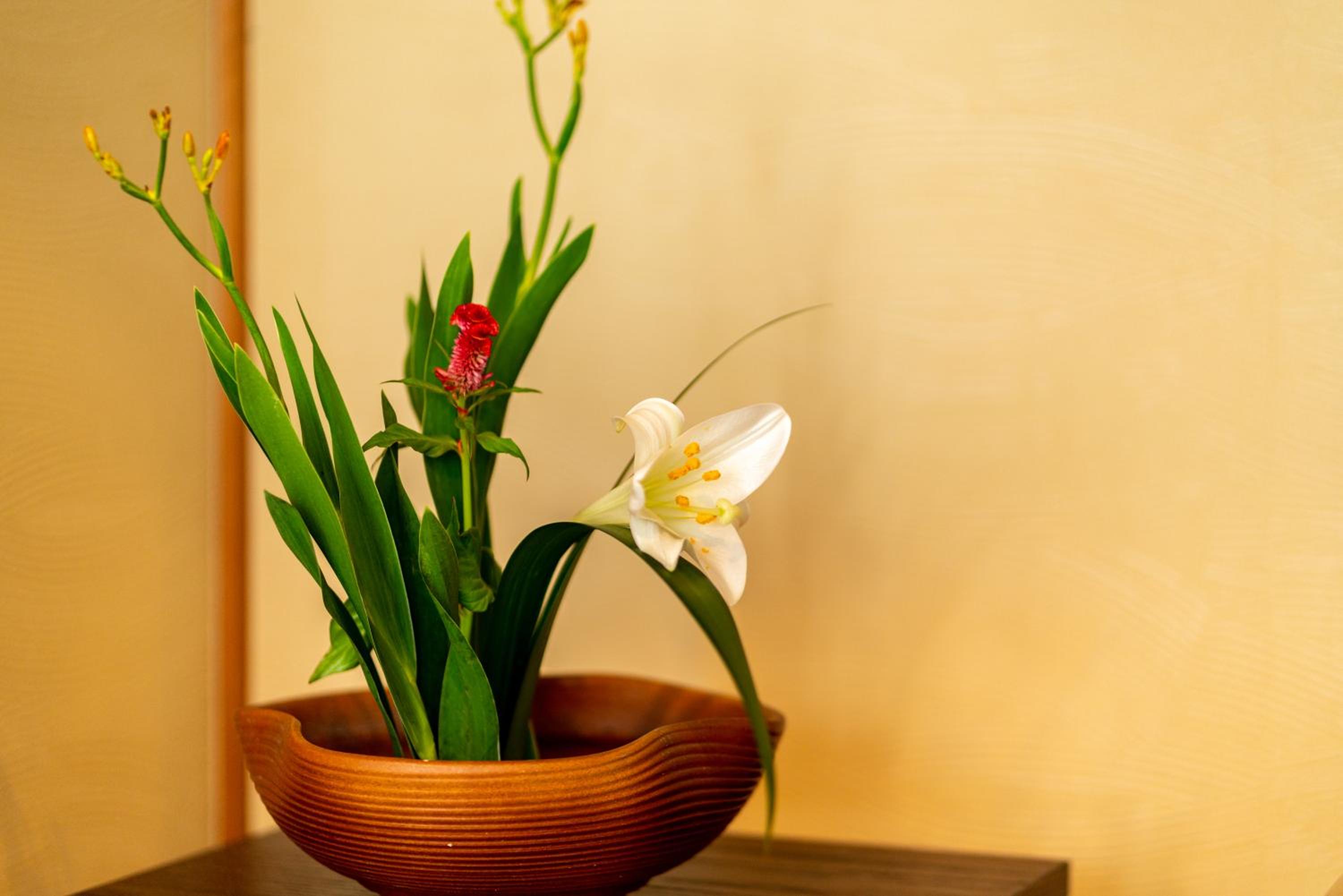 Guest House Ouka