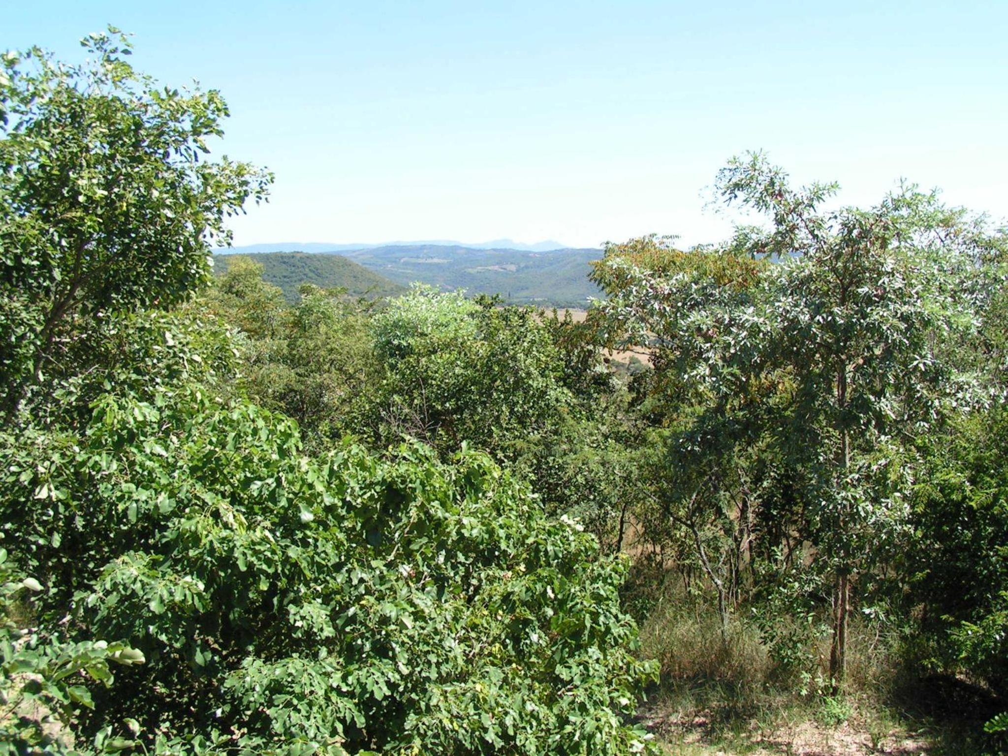 Photo 46