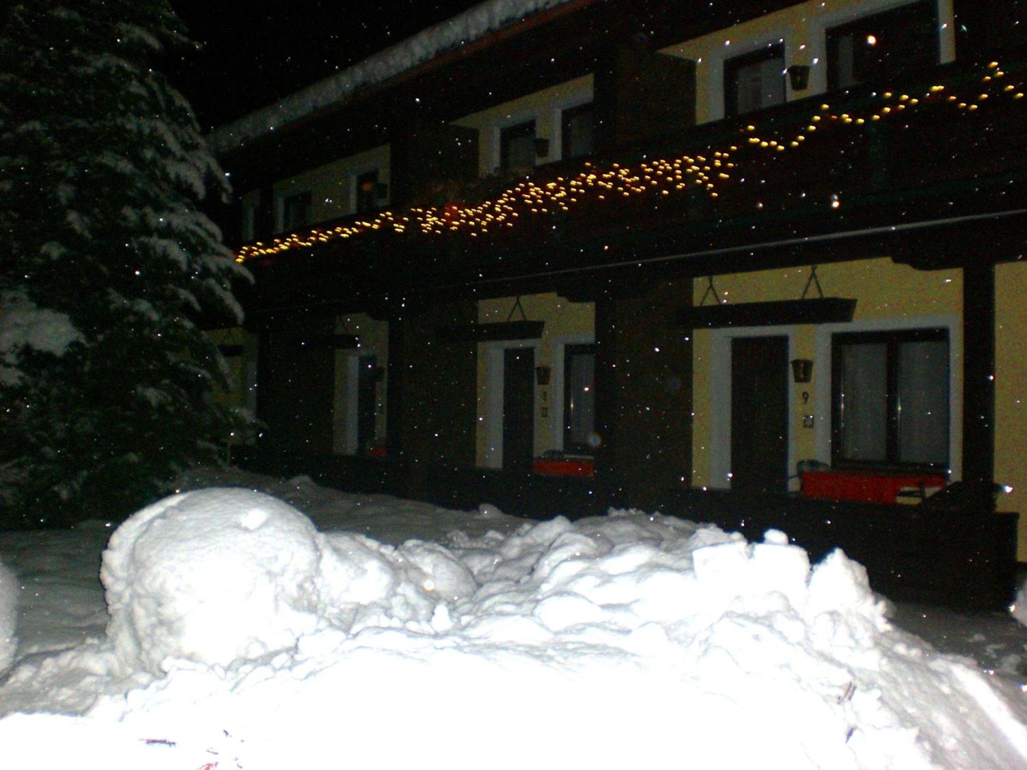Alpen-Appartementhof