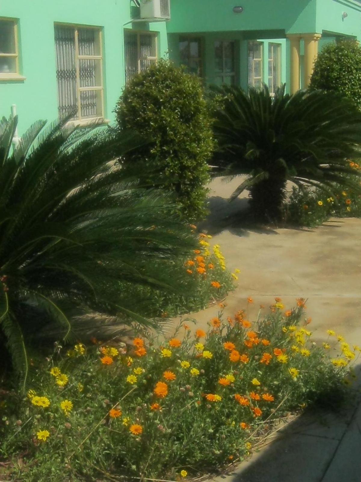 Photo 25