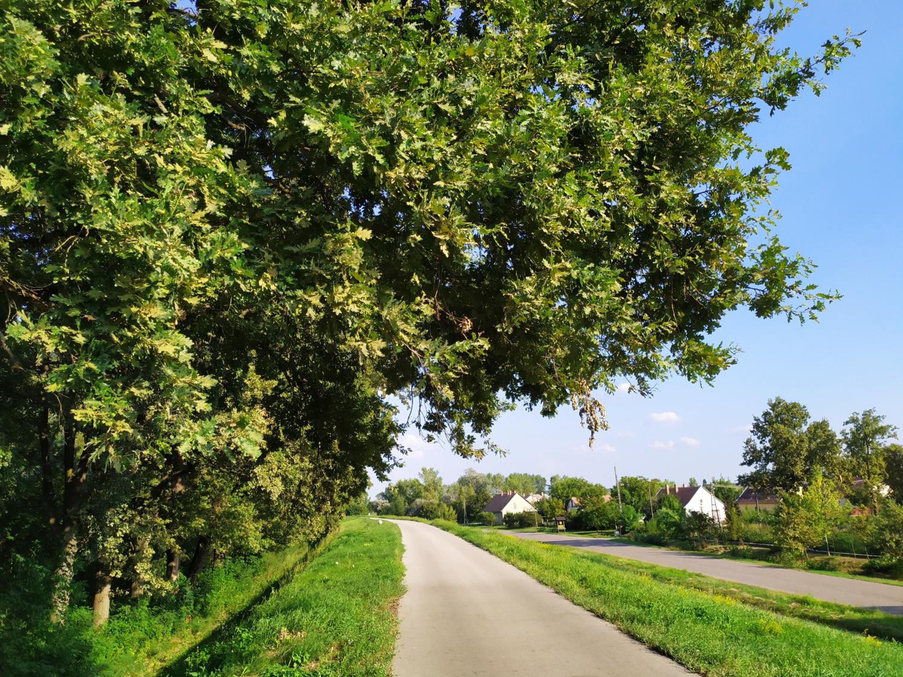 Faluház Tiszasüly