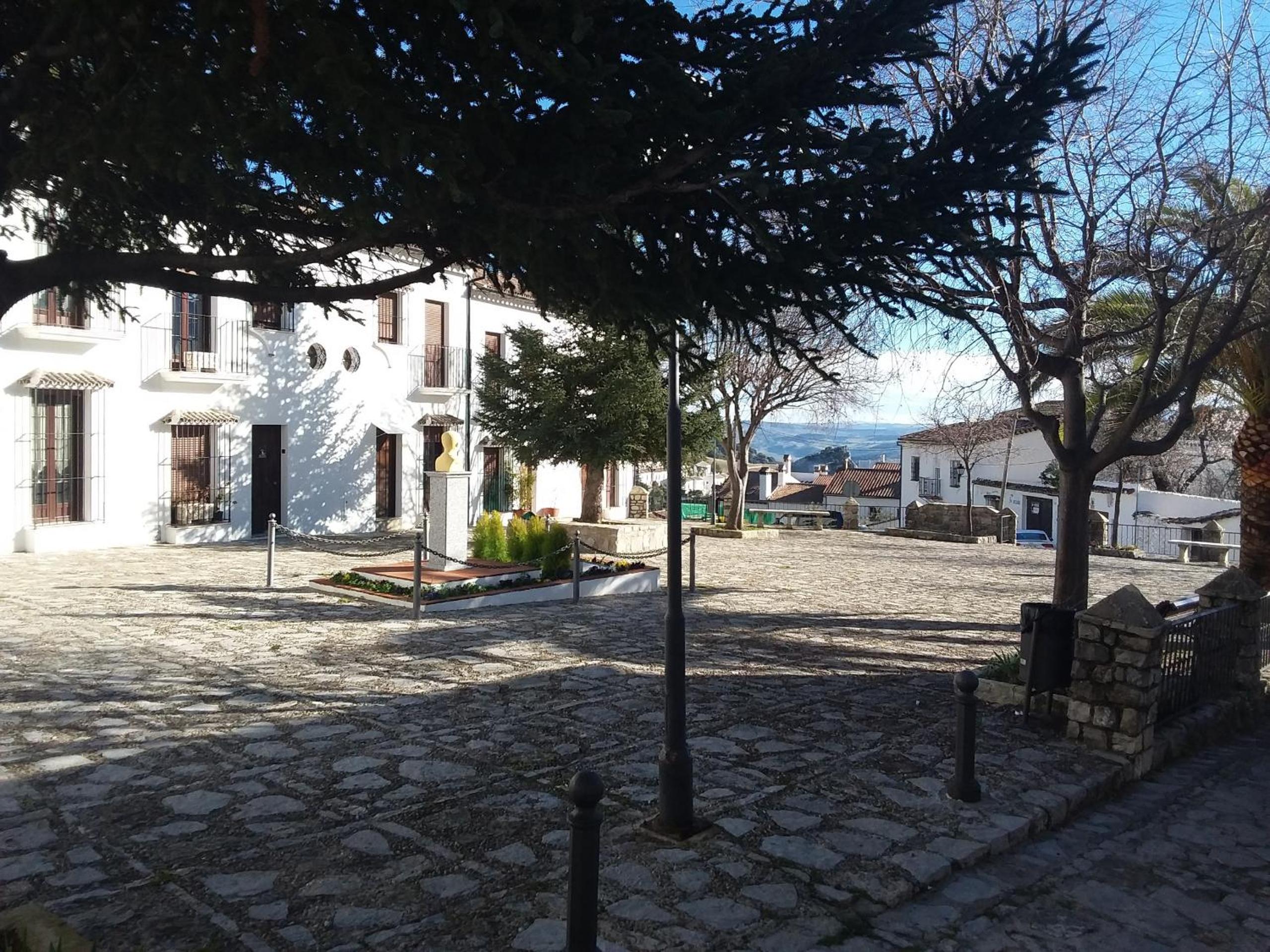 Photo 19