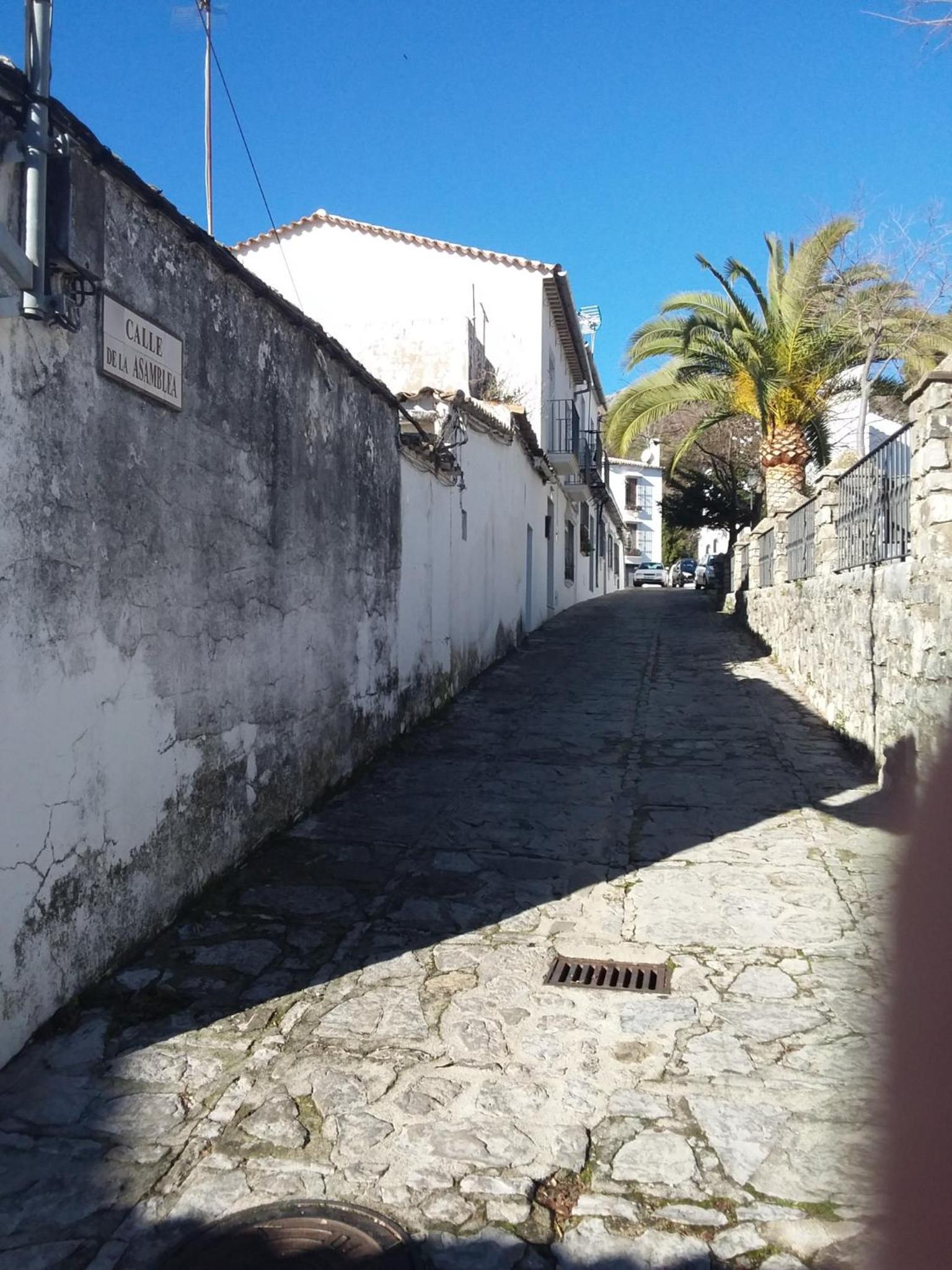Photo 43