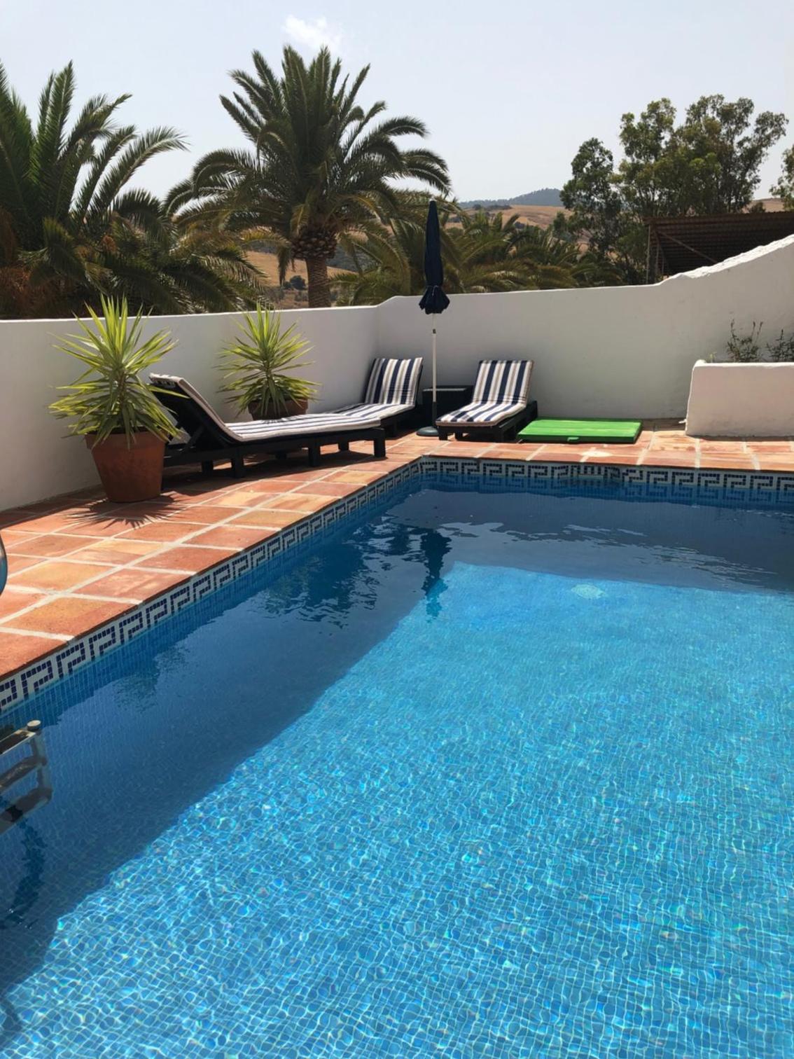 Casa de las Cañas by Rosas Cantares photo 2